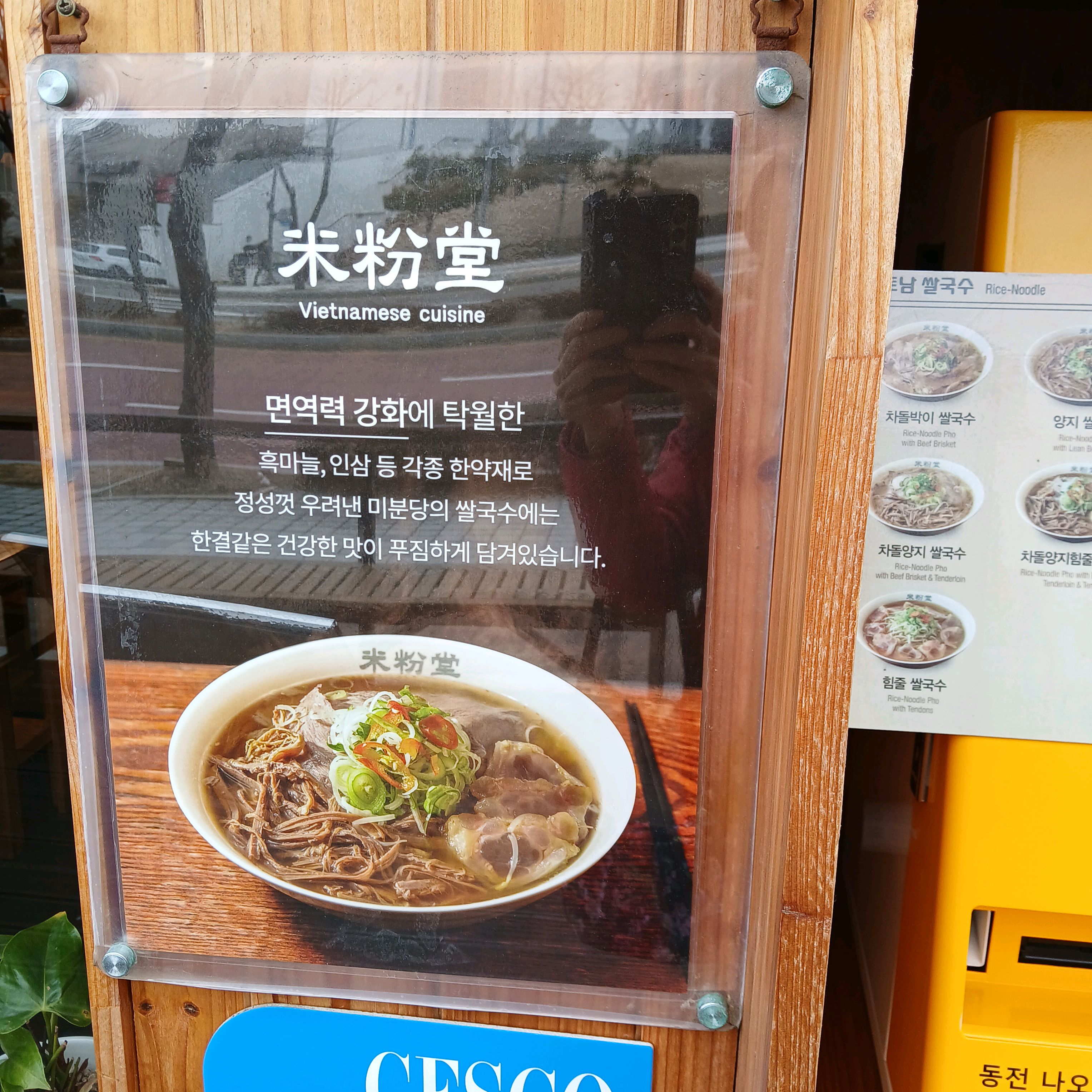 기장 오시리아맛집 미분당 쌀국수입니다. 차돌양지힘줄 쌀국수 양도 정말 많았어요.국물도 진하