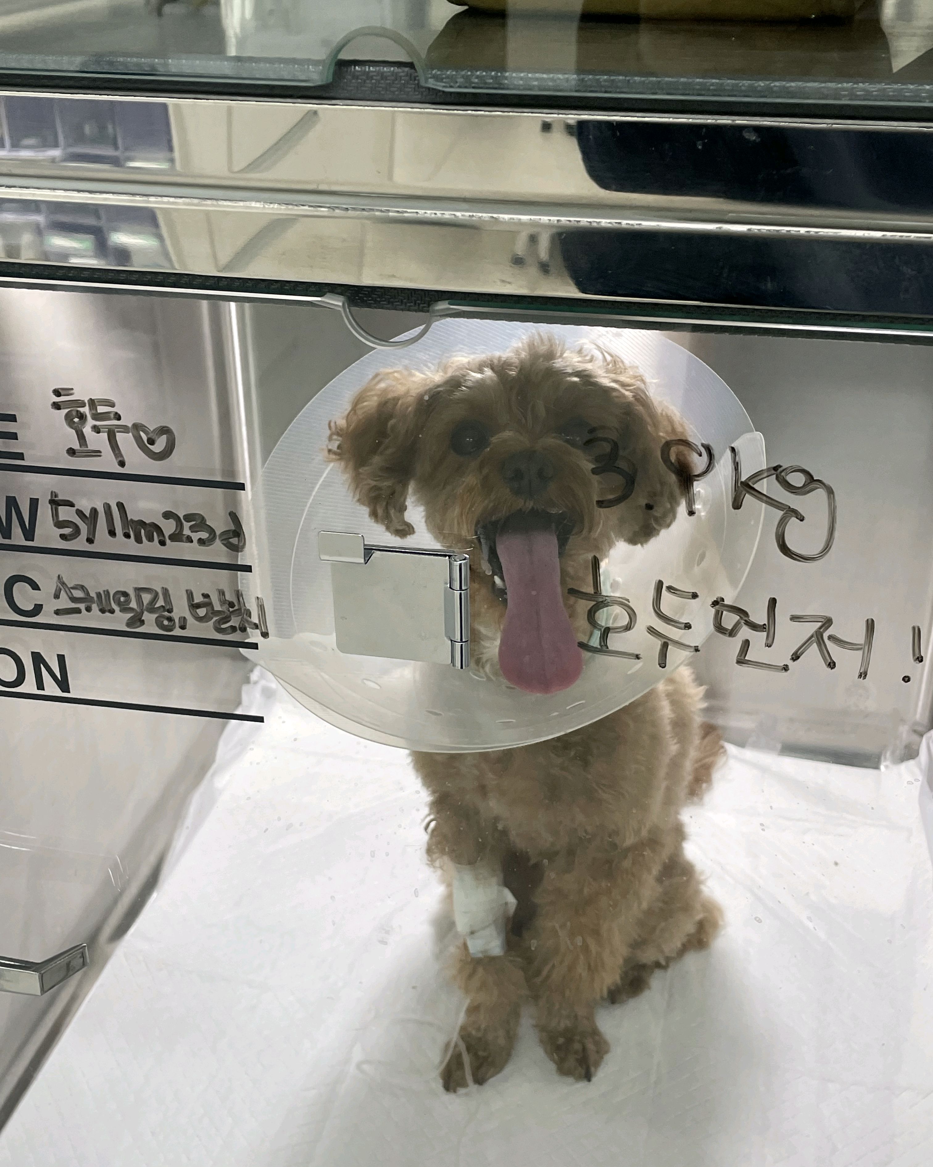 리뷰 사진 2
