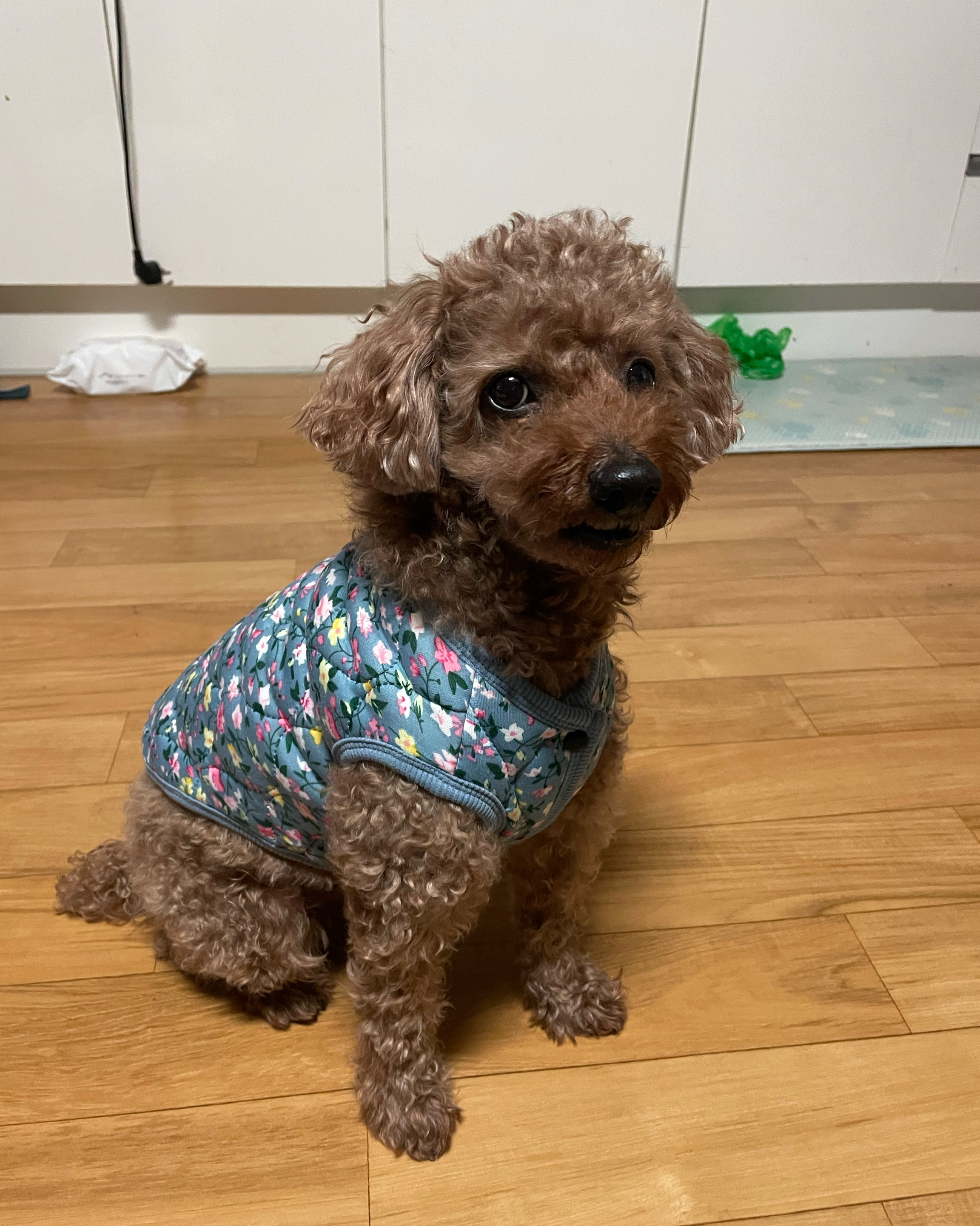 숲속동물병원 사진 4