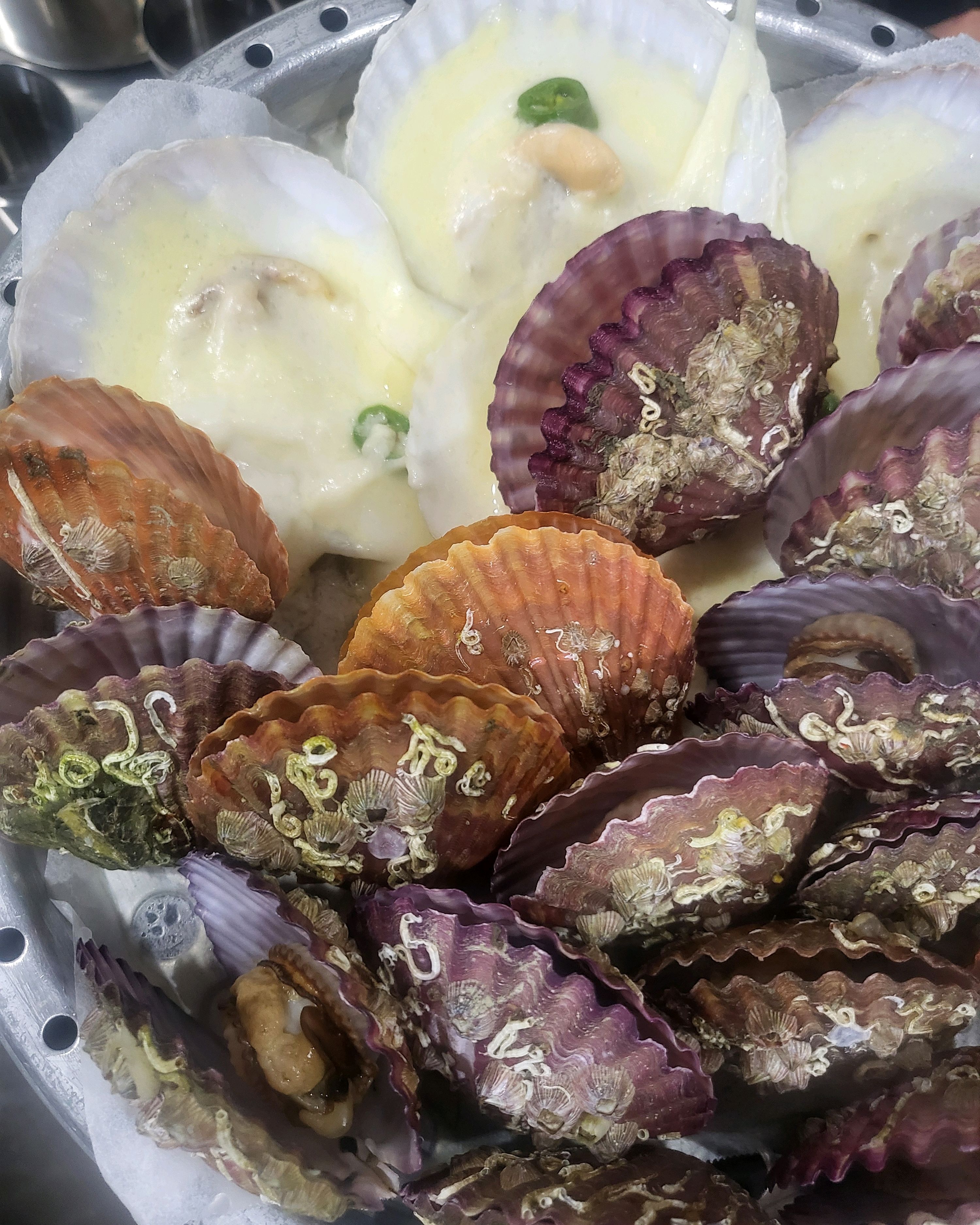 [김해 맛집 조개대장 진영본점] 직접 가본 로컬 리뷰