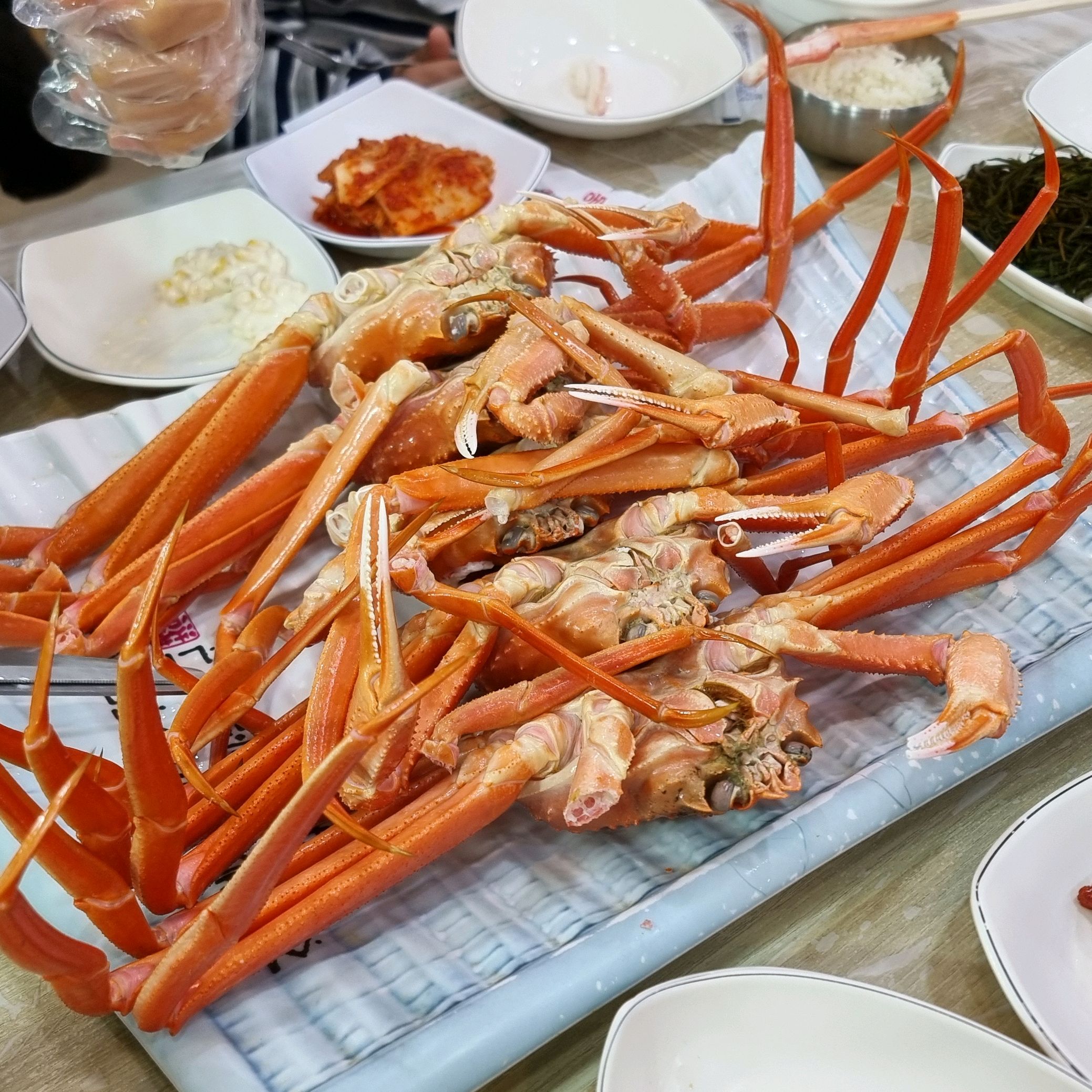 [삼척 맛집 동남호대게] 직접 가본 로컬 리뷰