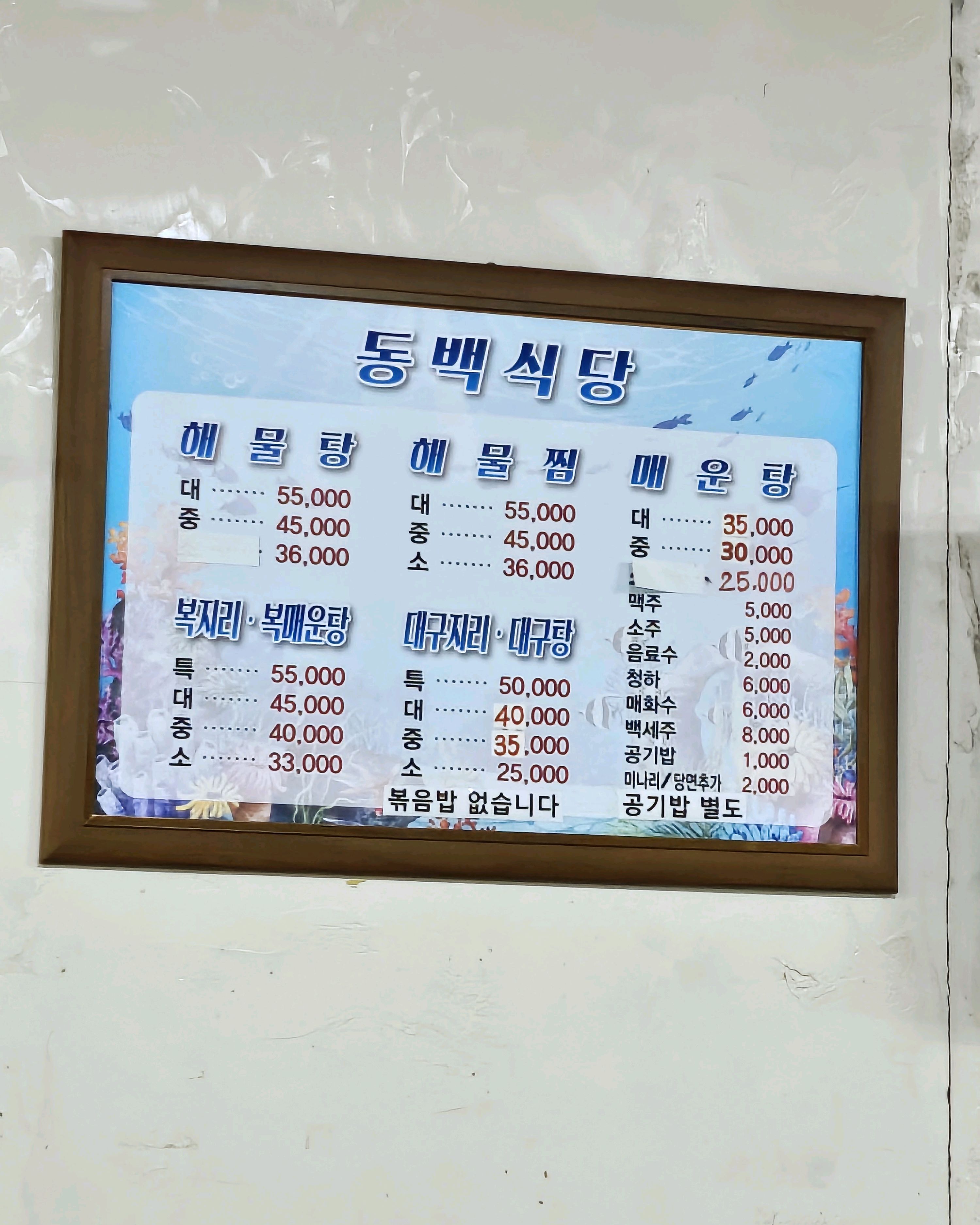[동해 맛집 동백식당] 직접 가본 로컬 리뷰