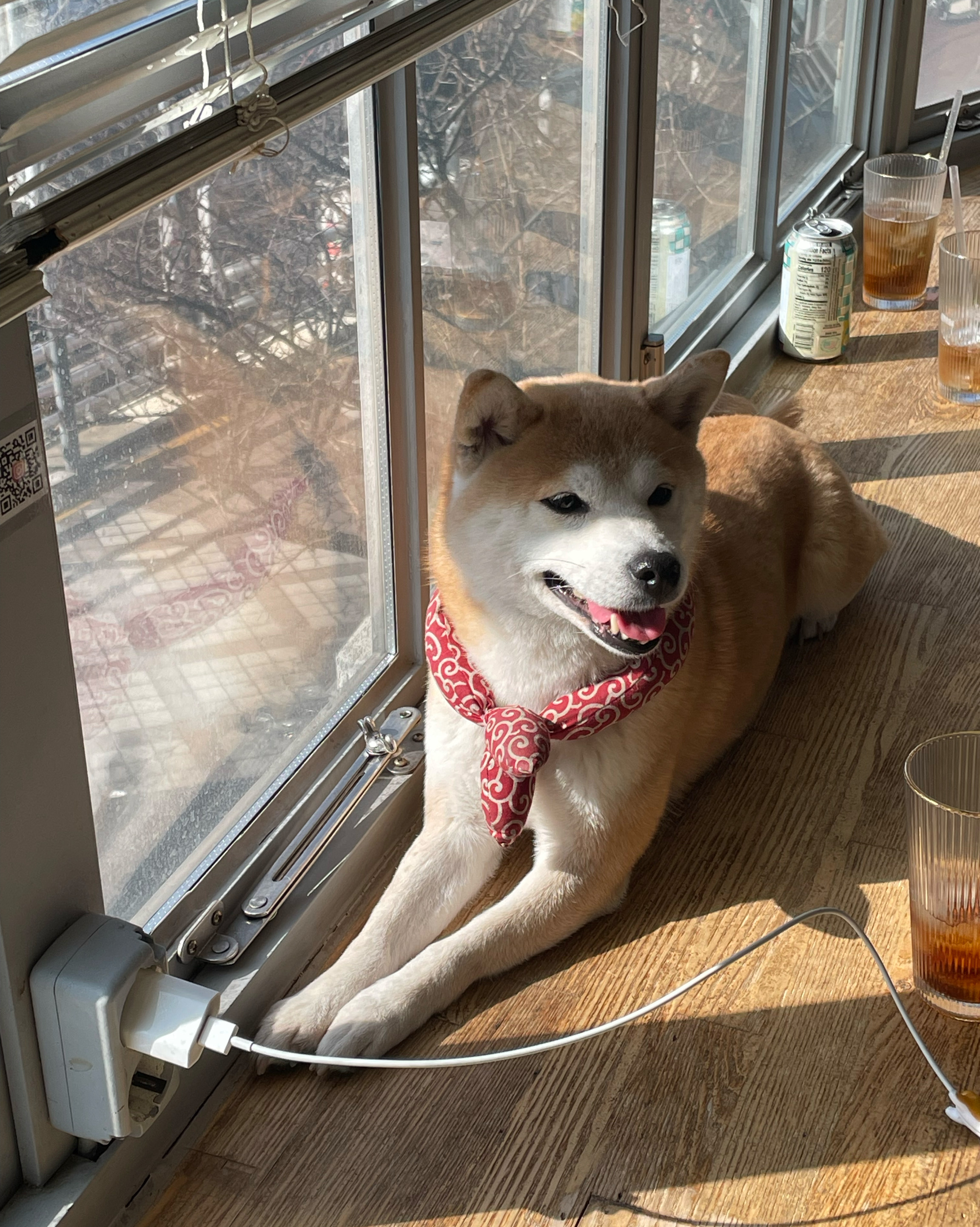 [경리단길 맛집 더미쓰리] 직접 가본 로컬 리뷰
