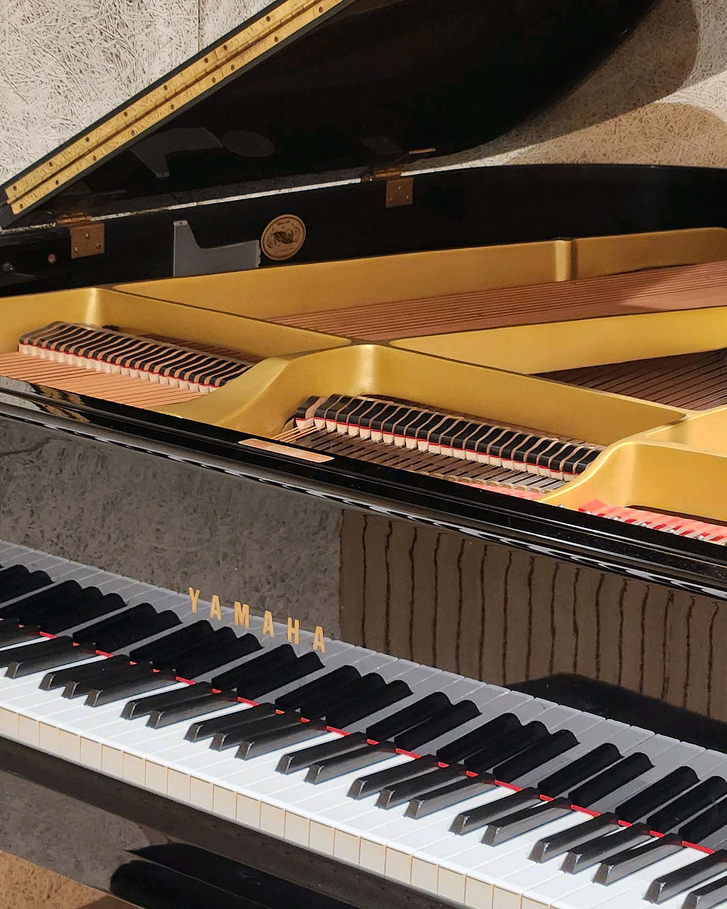 2번째 스튜디오 사진