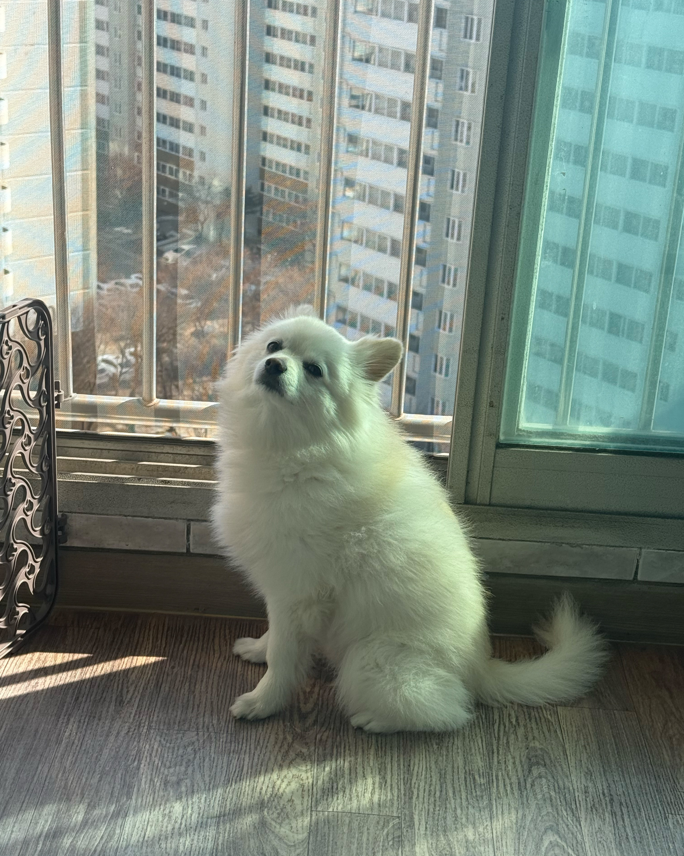리뷰 사진 1