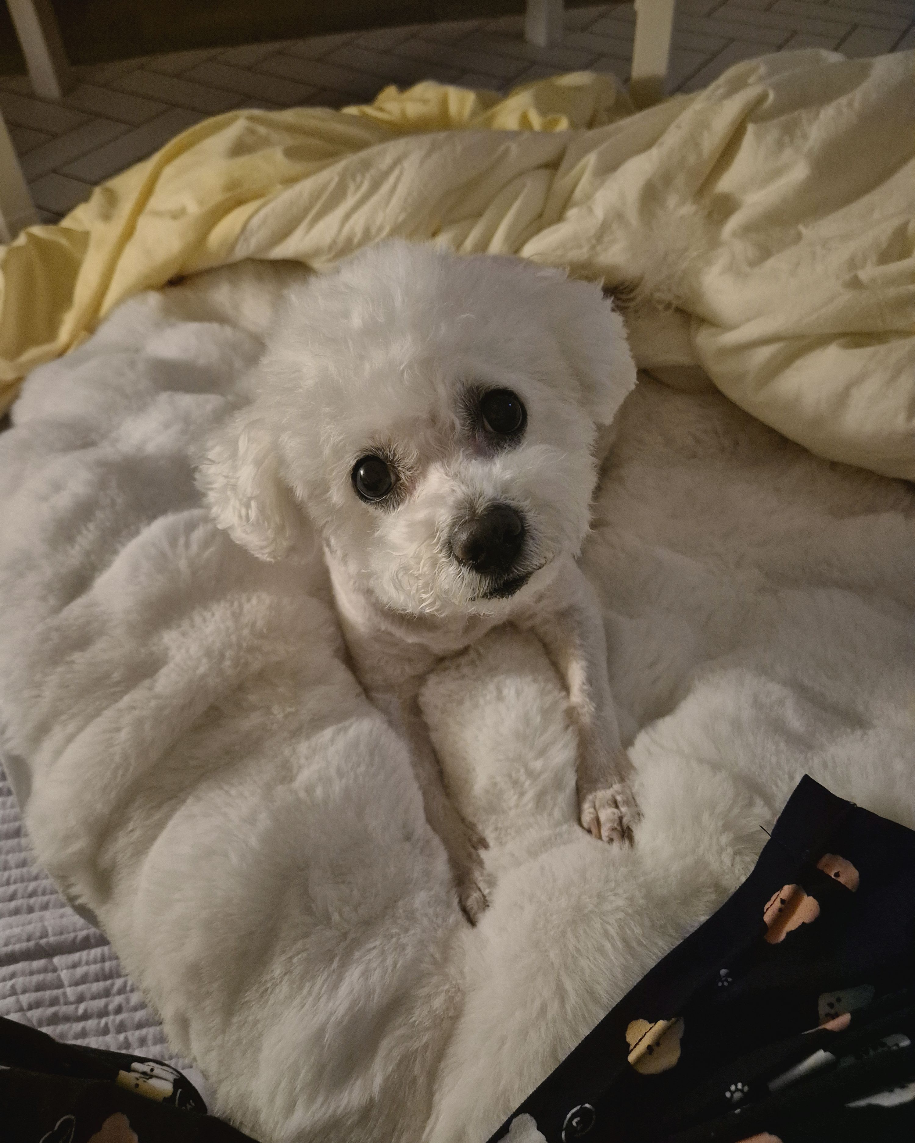 리뷰 사진 1