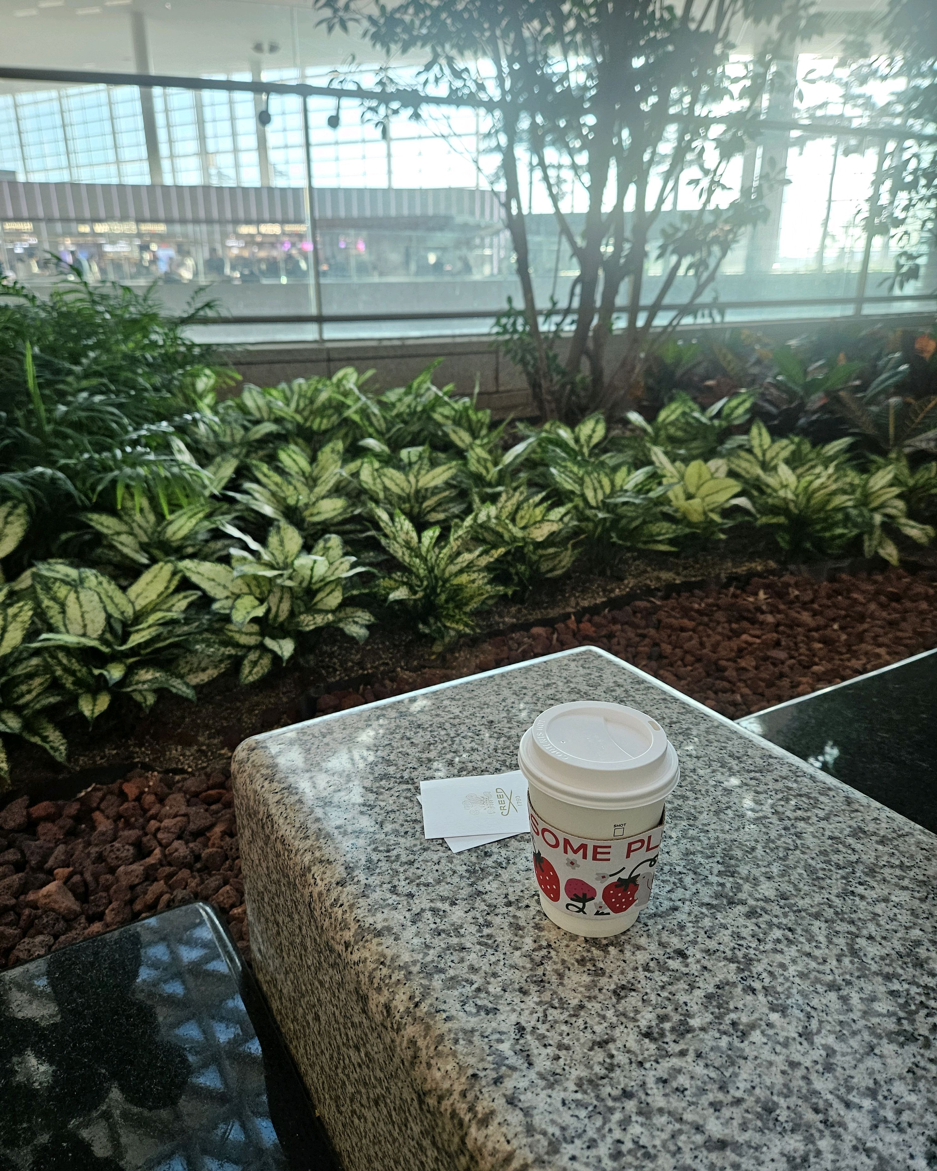 [인천공항 맛집 투썸플레이스 인천공항라운지점] 직접 가본 로컬 리뷰