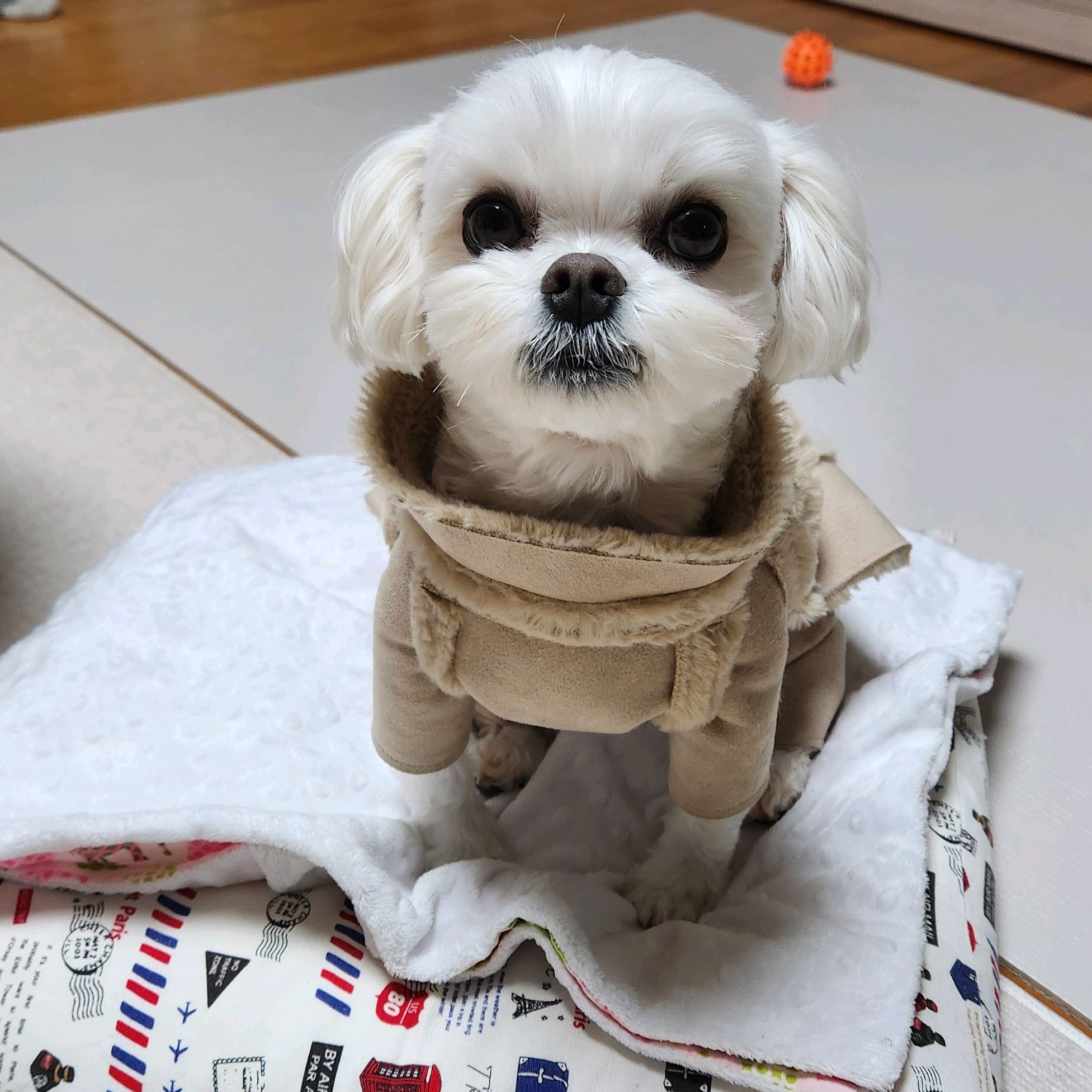 리뷰 사진 1