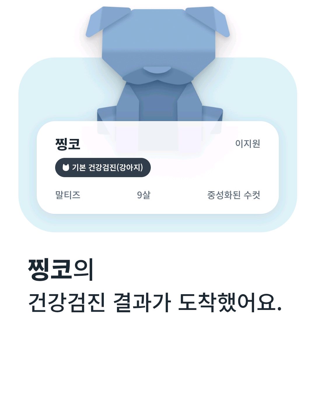 리뷰 사진 1