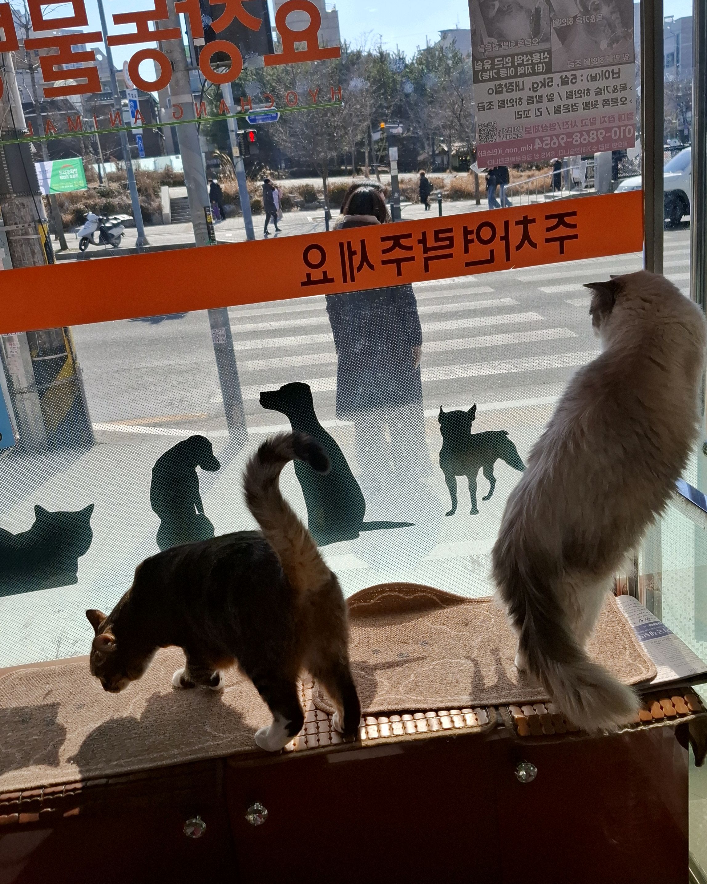 리뷰 사진 3