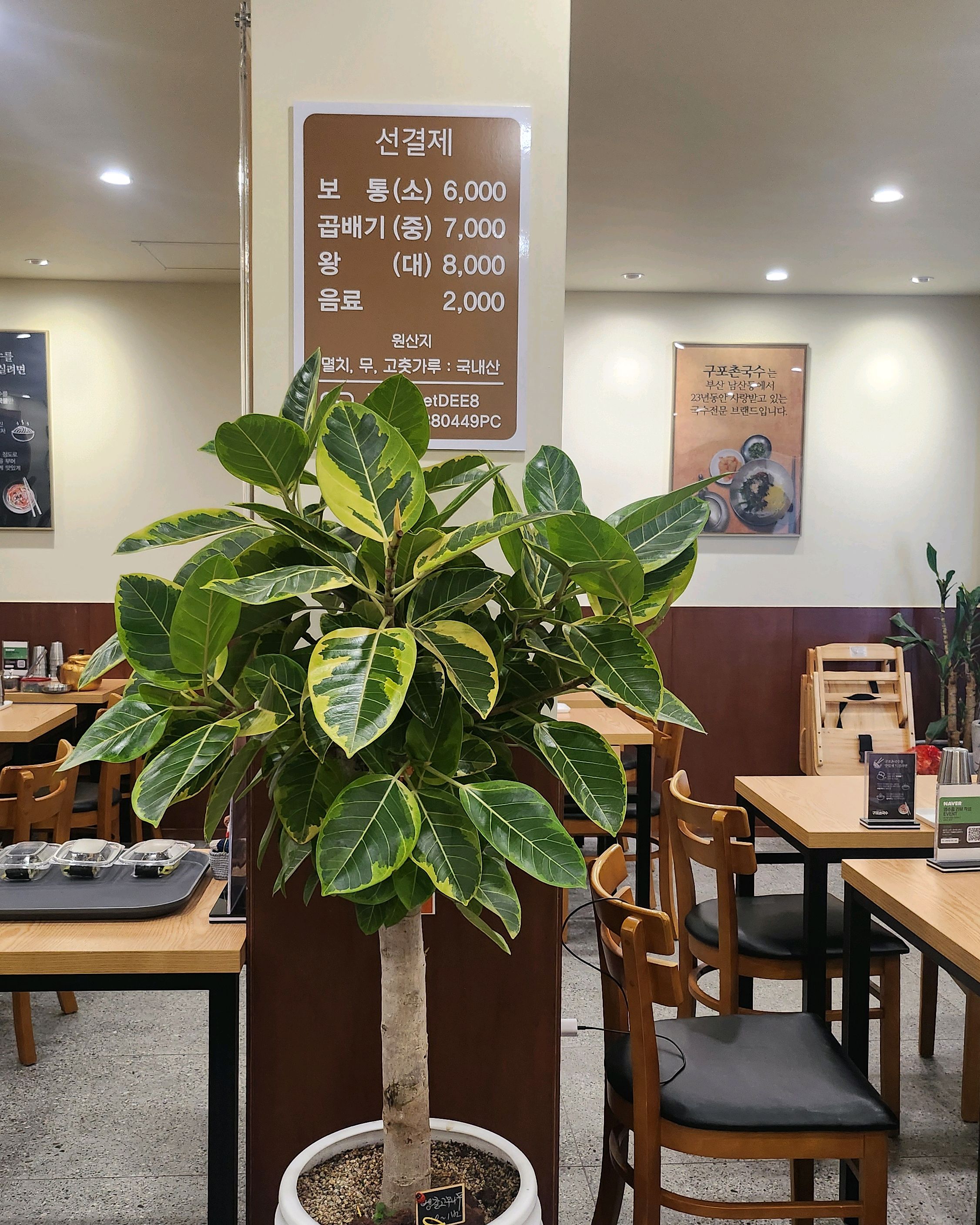 [부산역 맛집 남산동 구포촌국수 부산역점] 직접 가본 로컬 리뷰