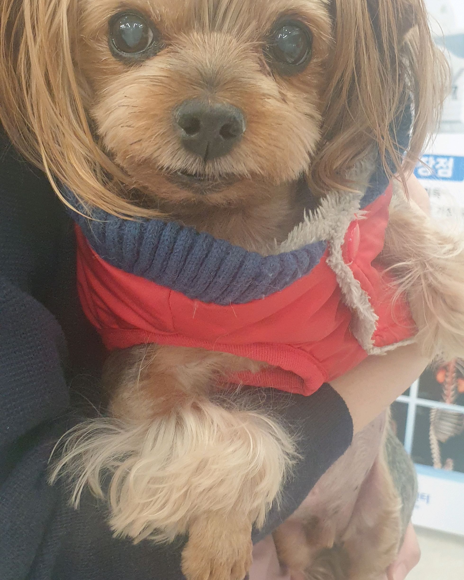 리뷰 사진 1