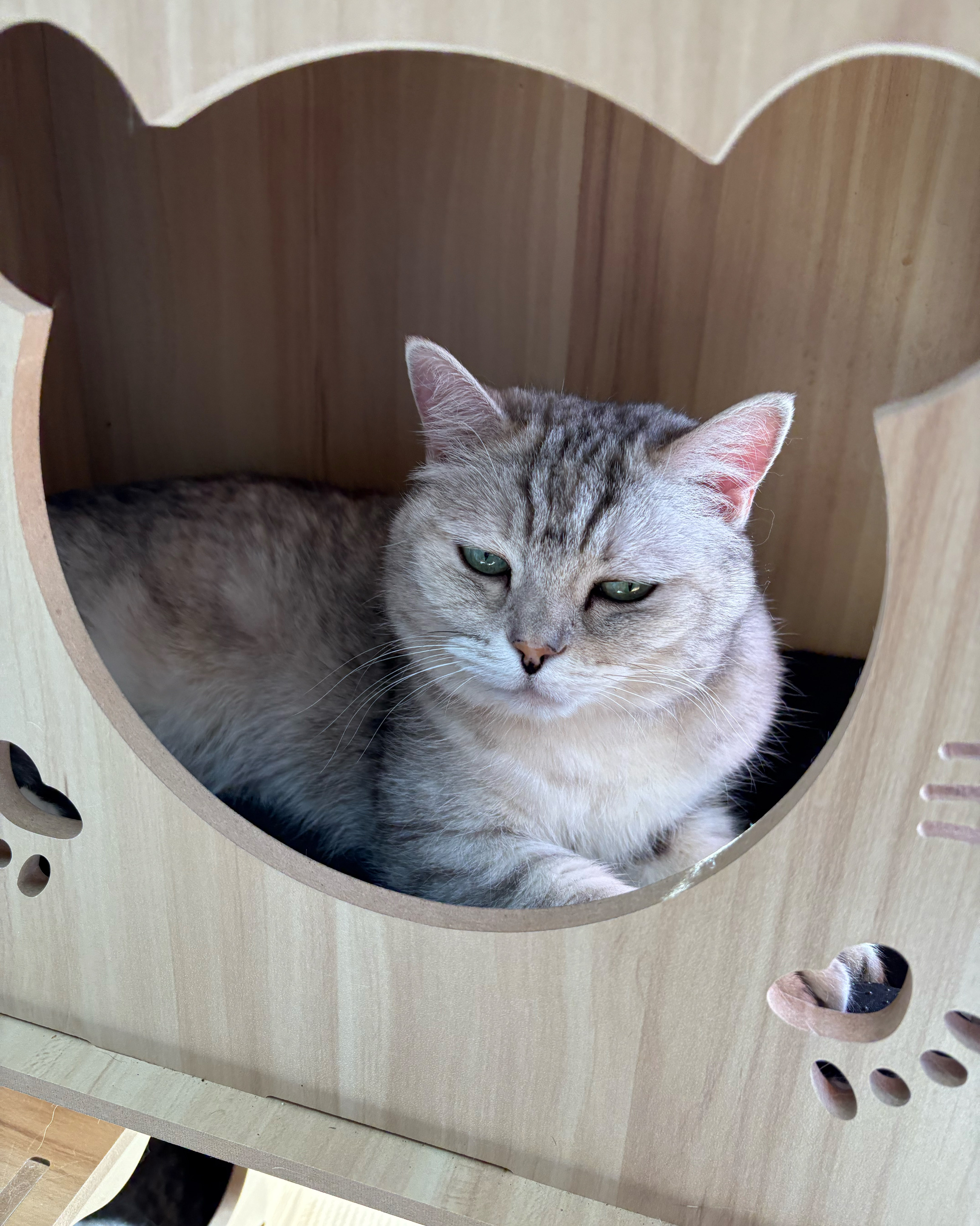 리뷰 사진 1