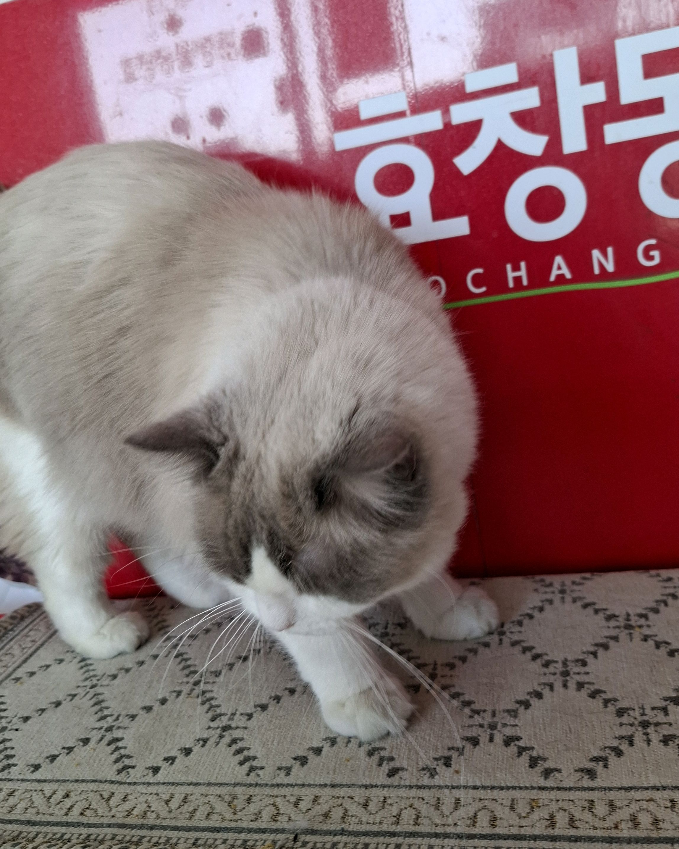 리뷰 사진 1