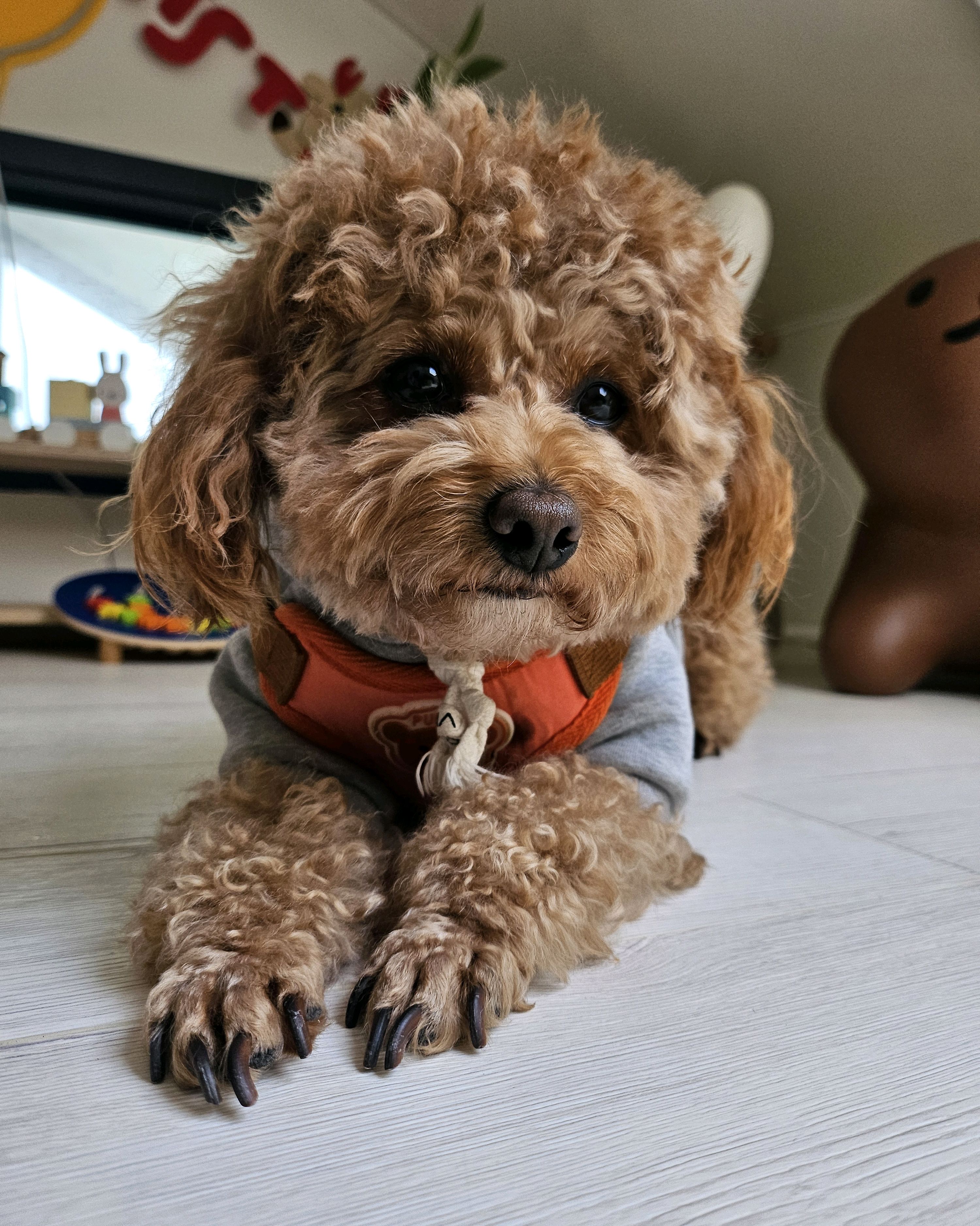 리뷰 사진 1