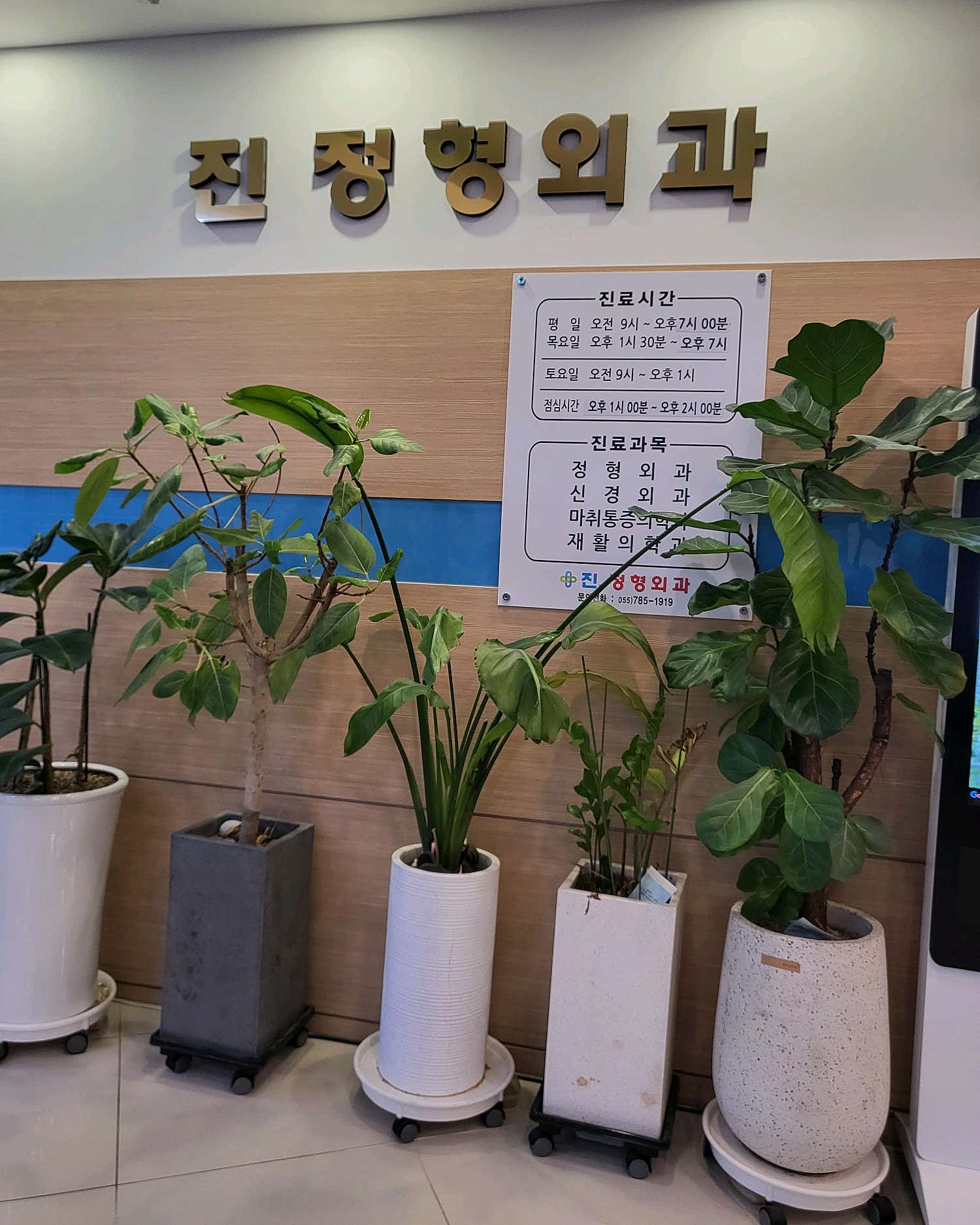 진정형외과의원