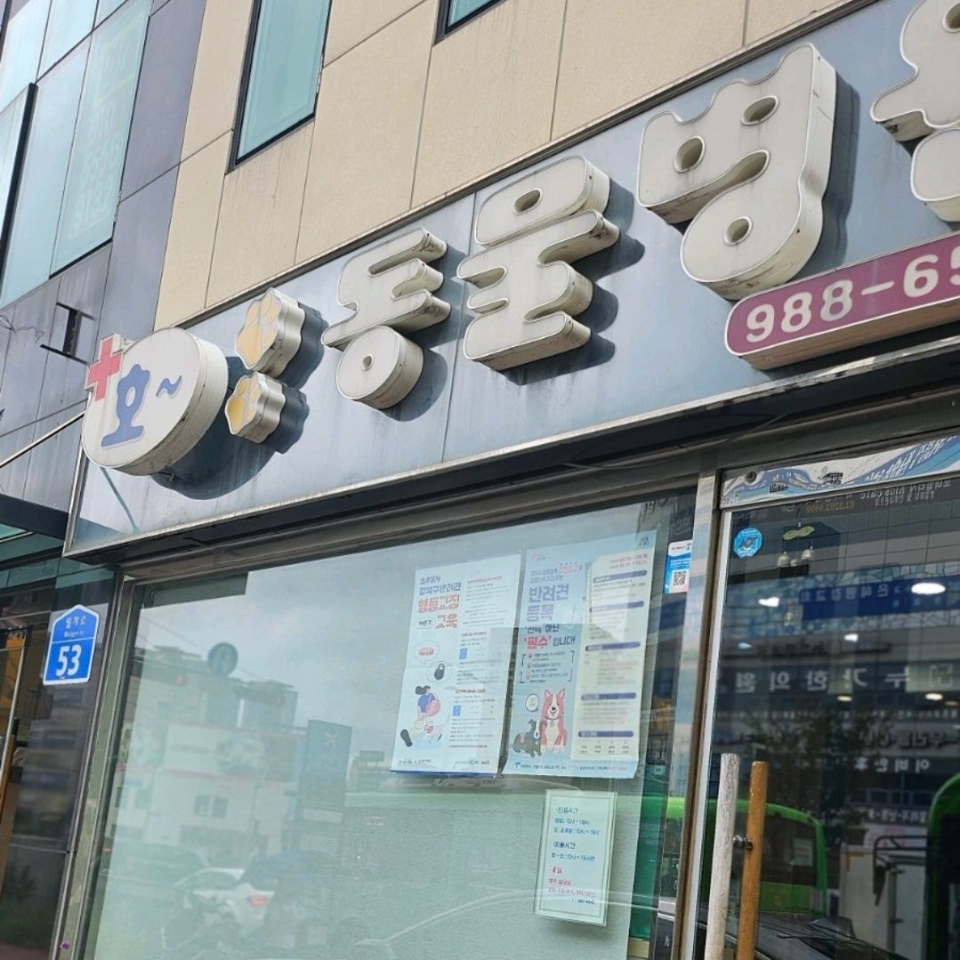 리뷰 사진 1