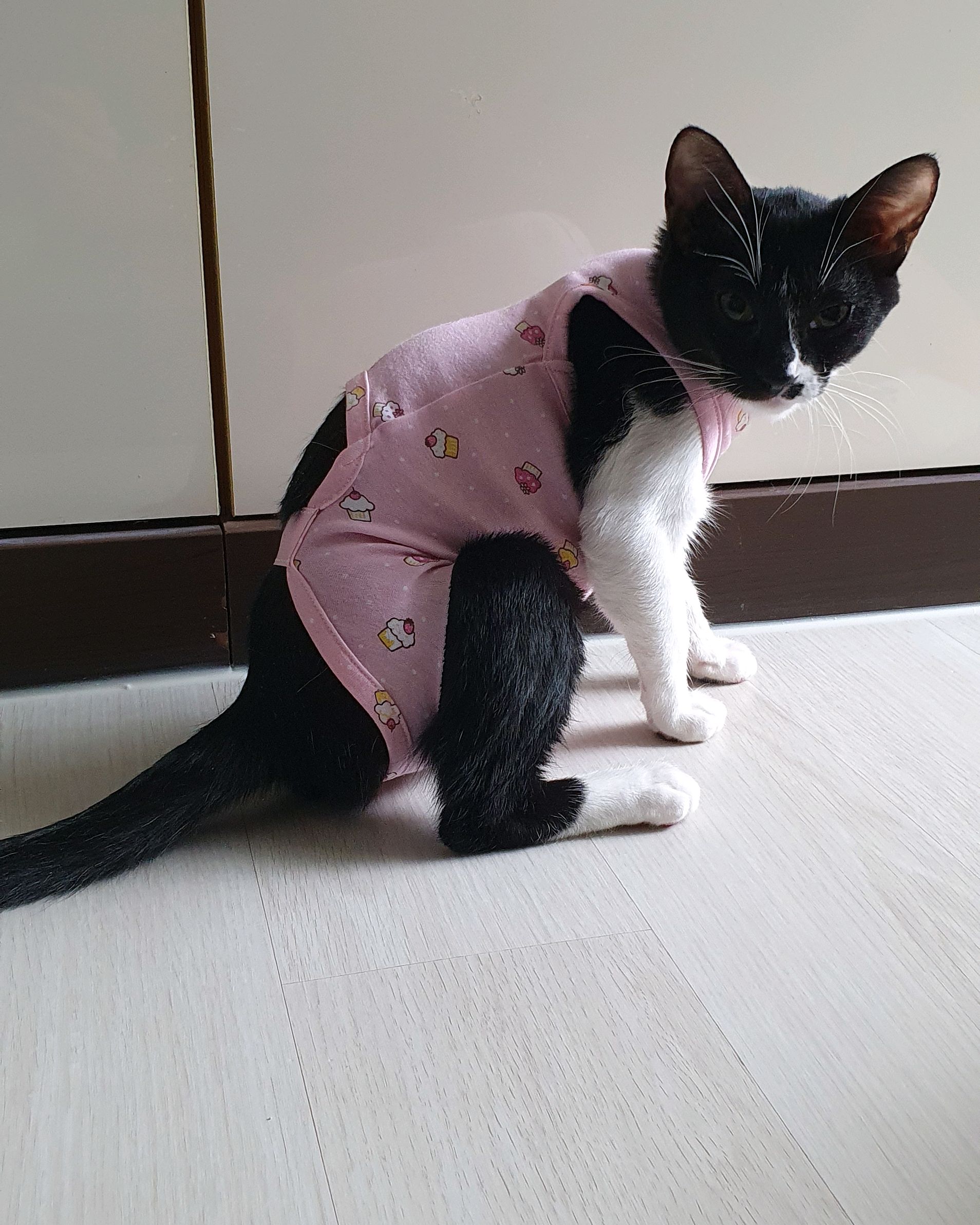 리뷰 사진 2