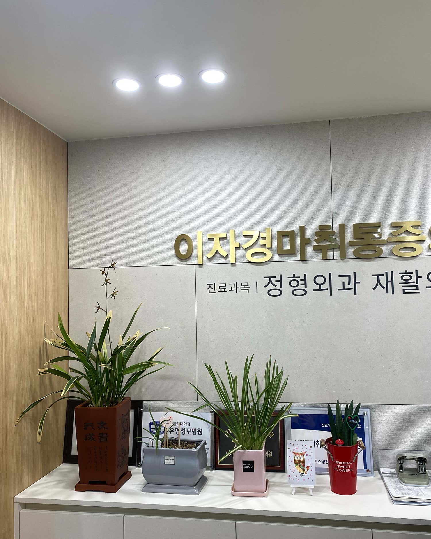 이자경마취통증의학과의원