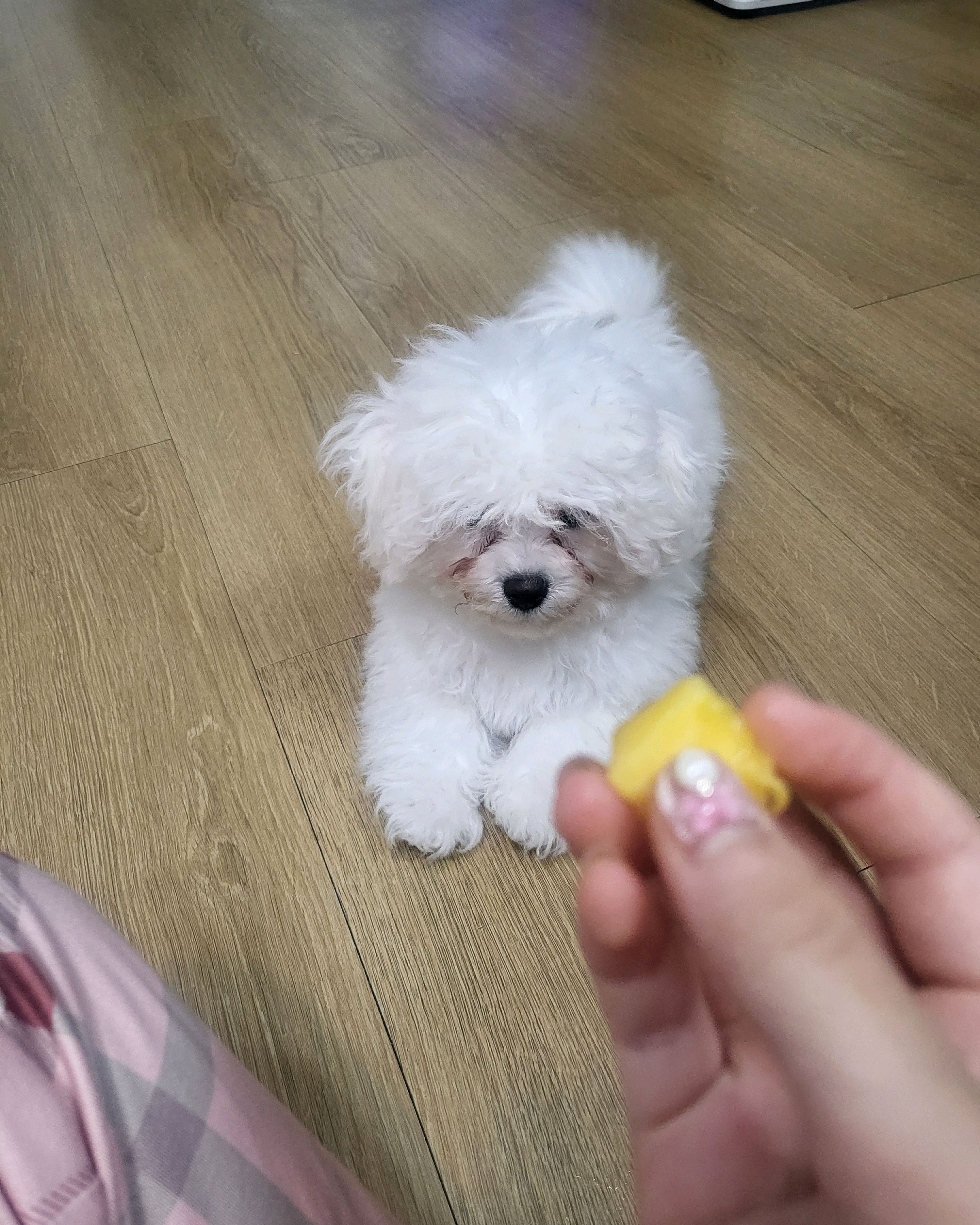 리뷰 사진 1
