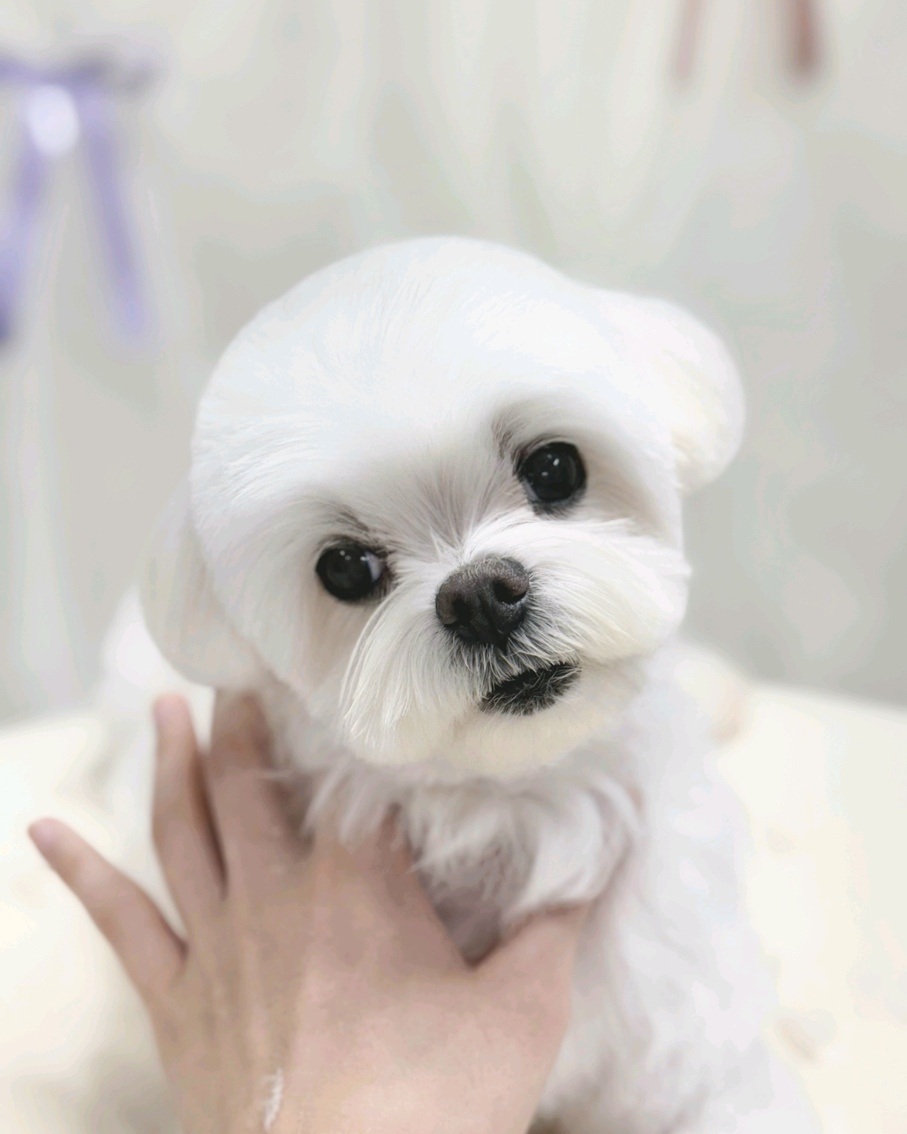 남산동물병원 사진 2
