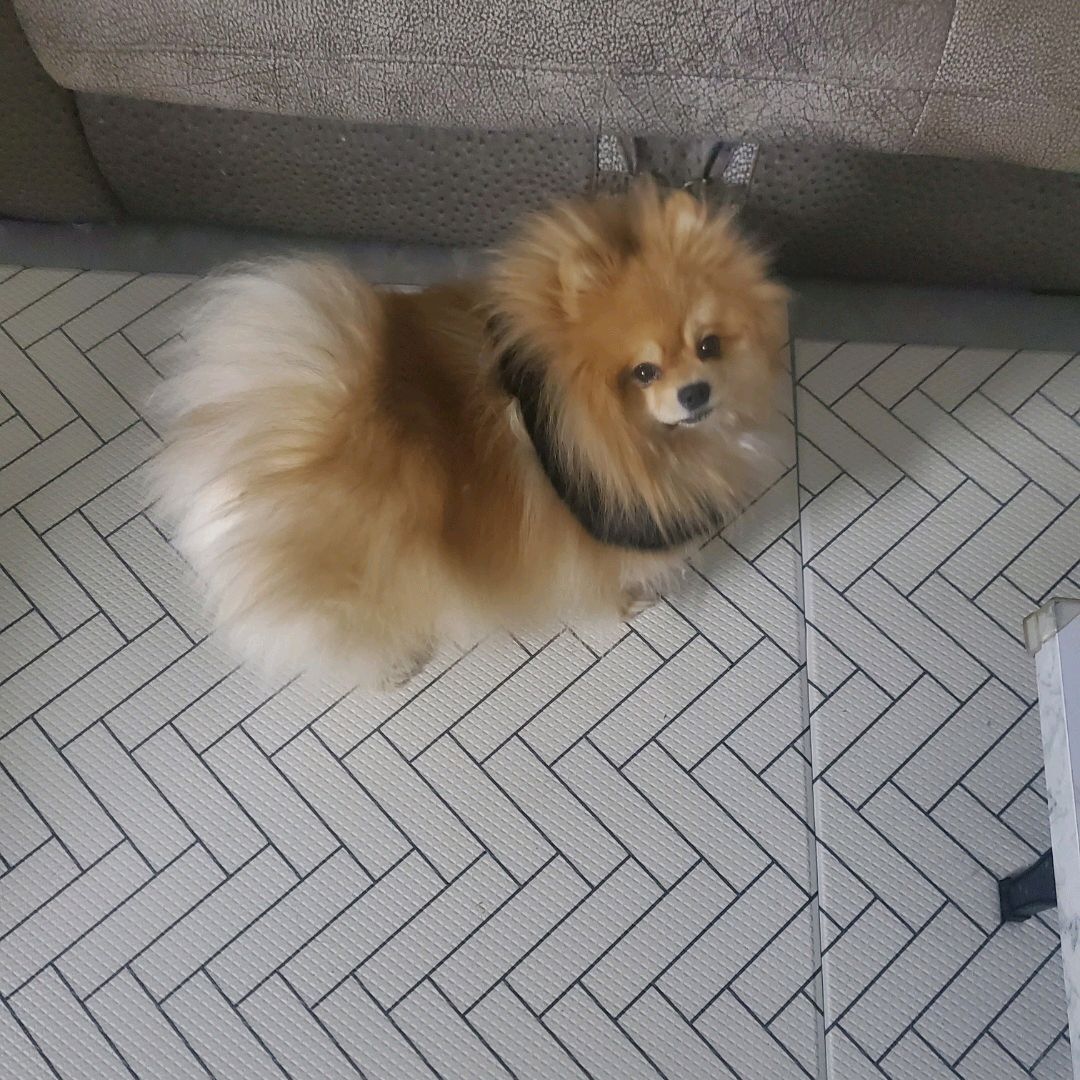 리뷰 사진 1