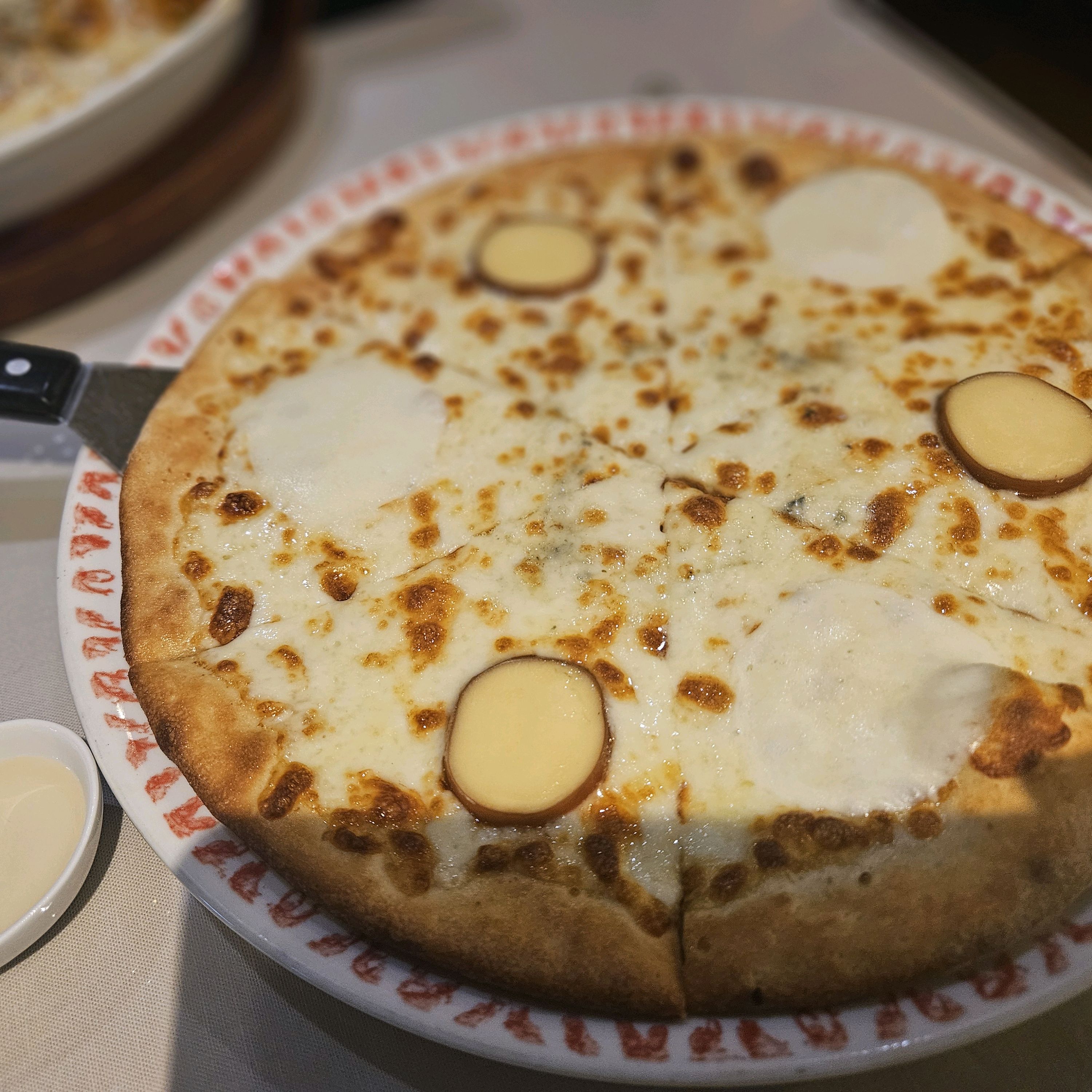 [삼척 맛집 부오나피자 삼척점] 직접 가본 로컬 리뷰
