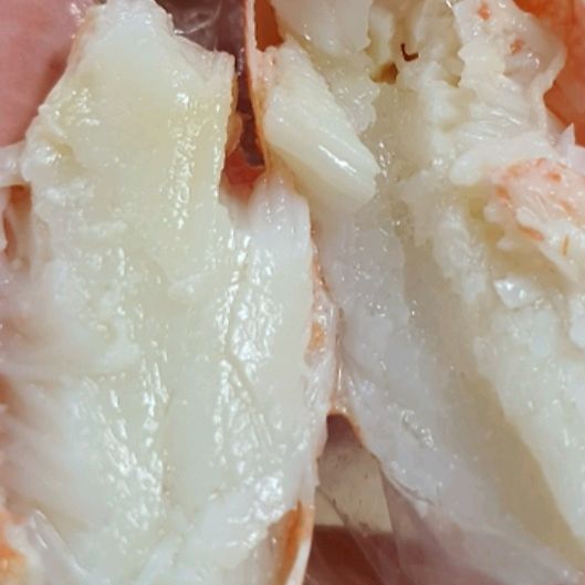 [동해 맛집 묵호원조대게] 직접 가본 로컬 리뷰