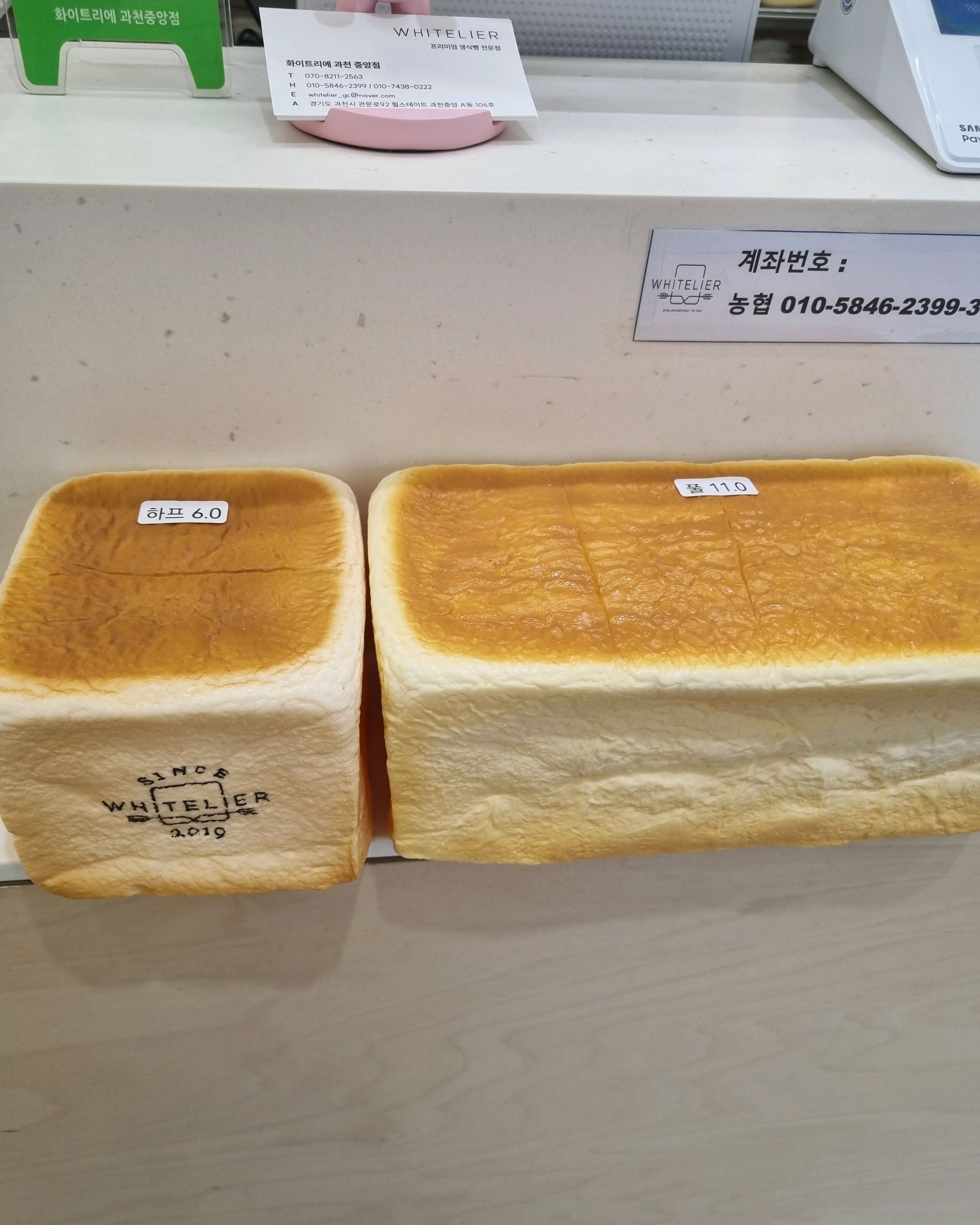 맛있어서 자주와요~~~ - 과천 맛집 화이트리에 과천중앙점