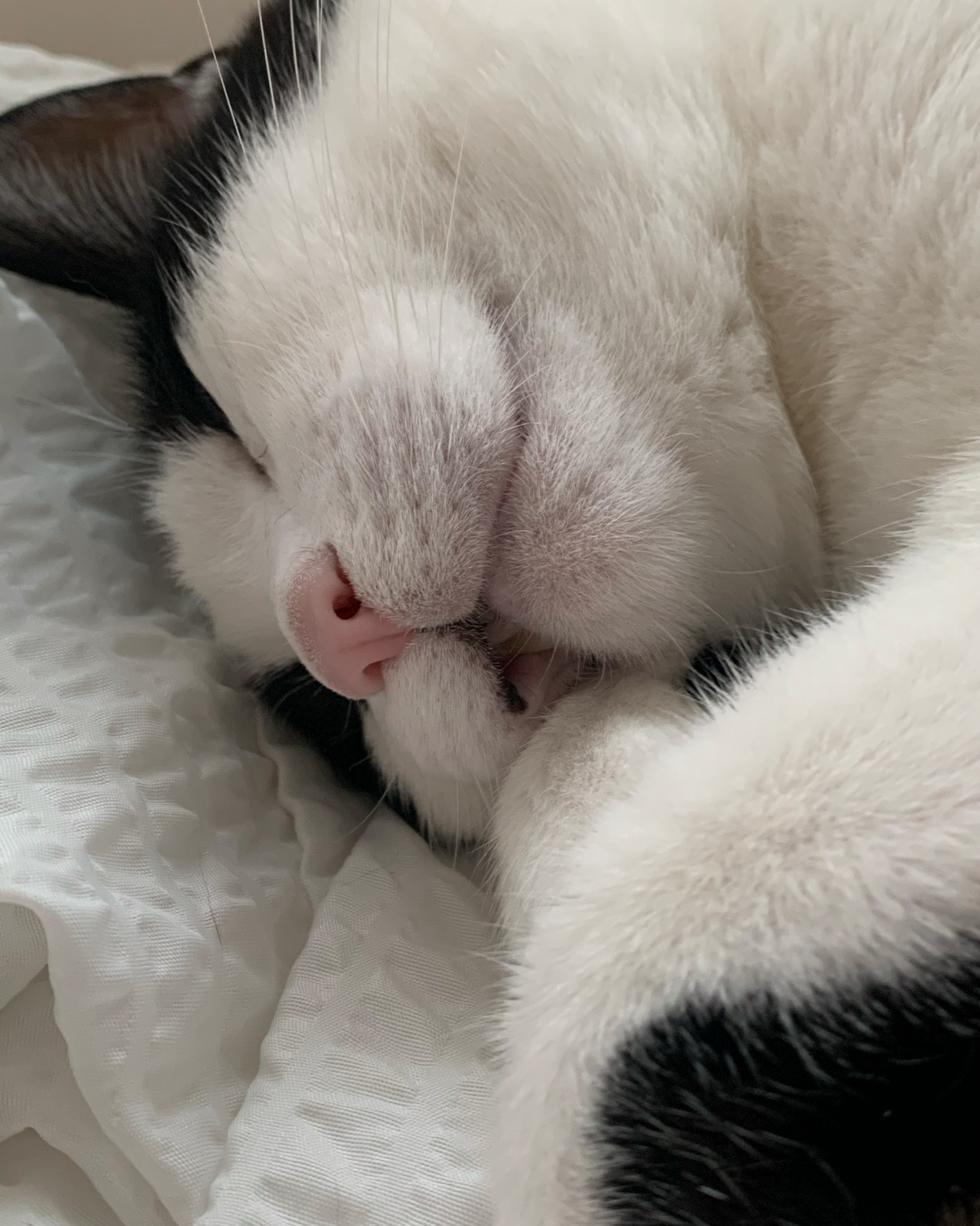 리뷰 사진 1