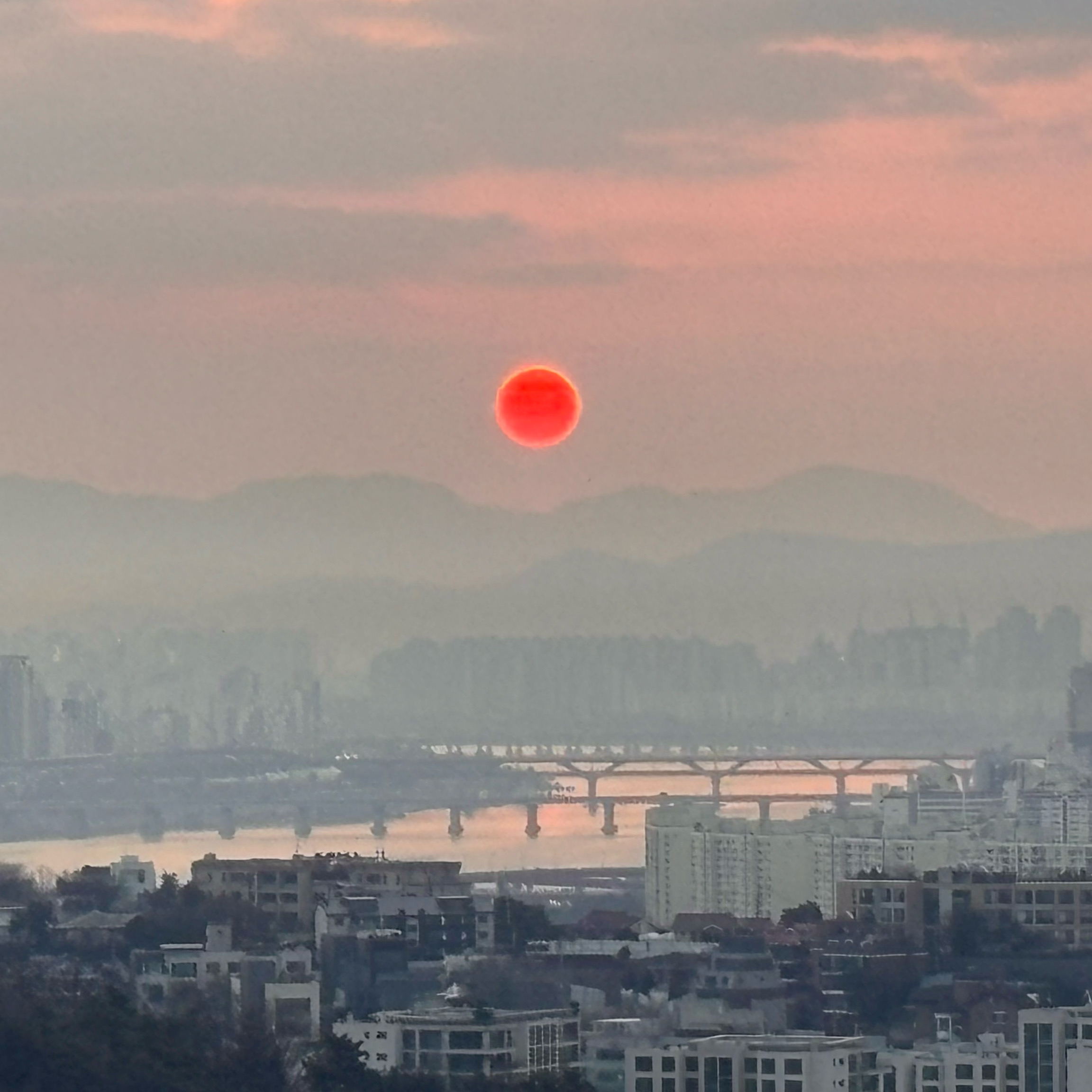 [경리단길 맛집 그랜드하얏트서울 갤러리] 직접 가본 로컬 리뷰