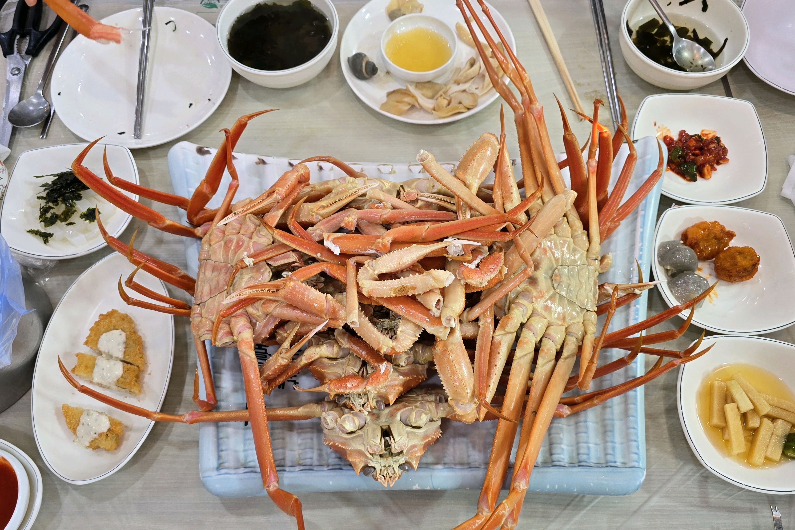 [삼척 맛집 동남호대게] 직접 가본 로컬 리뷰
