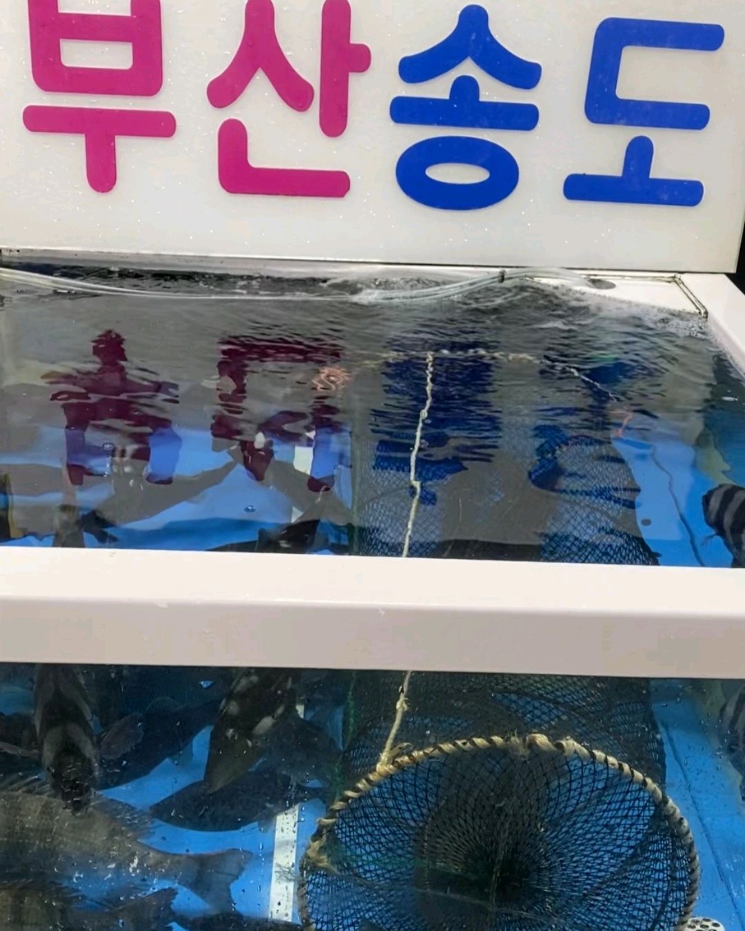 [여수 맛집 부산 송도회센타] 직접 가본 로컬 리뷰