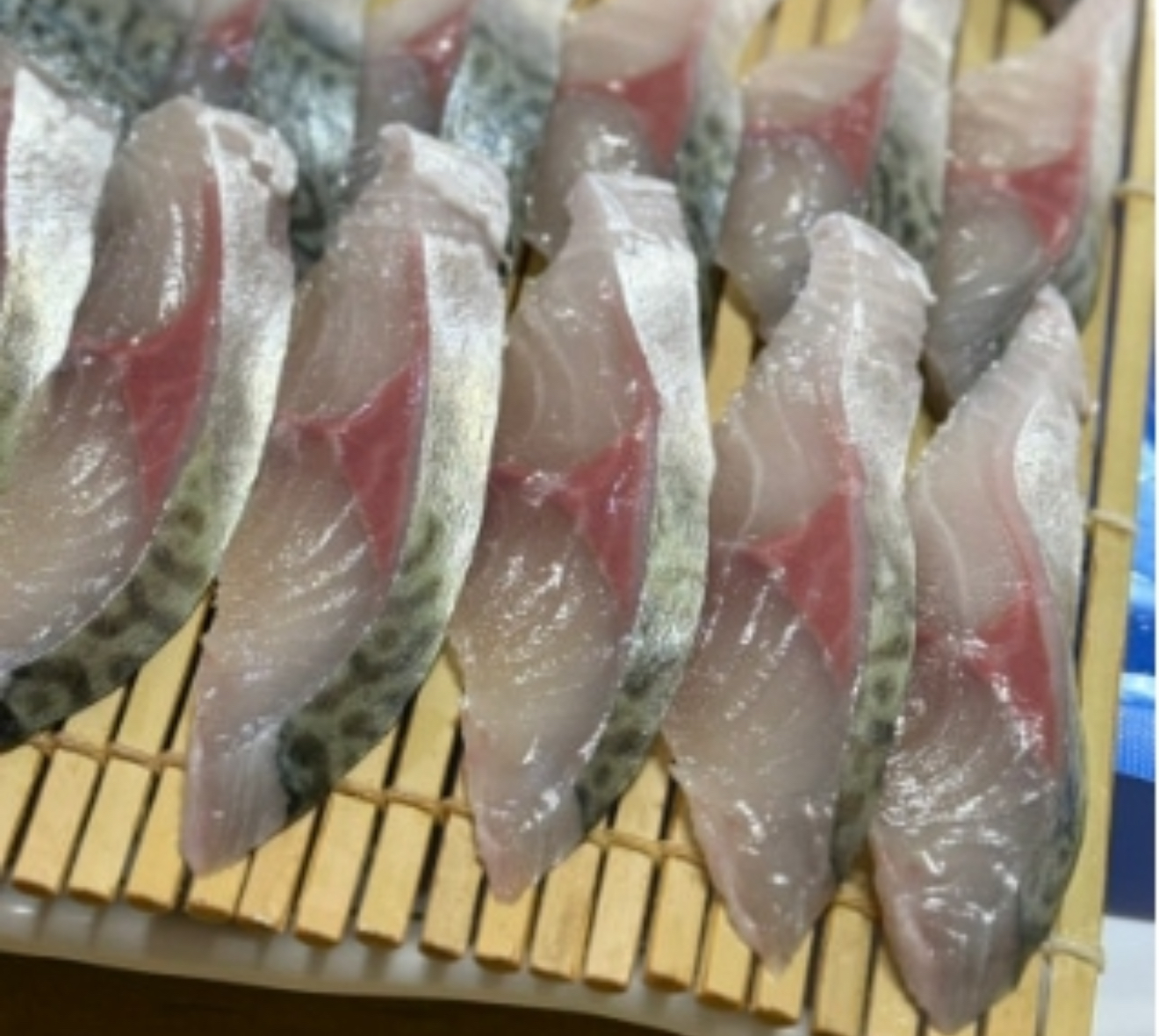 고등어회는 처음 맛보는거라서 상상속에선 - 제주 맛집 원담 제주본점