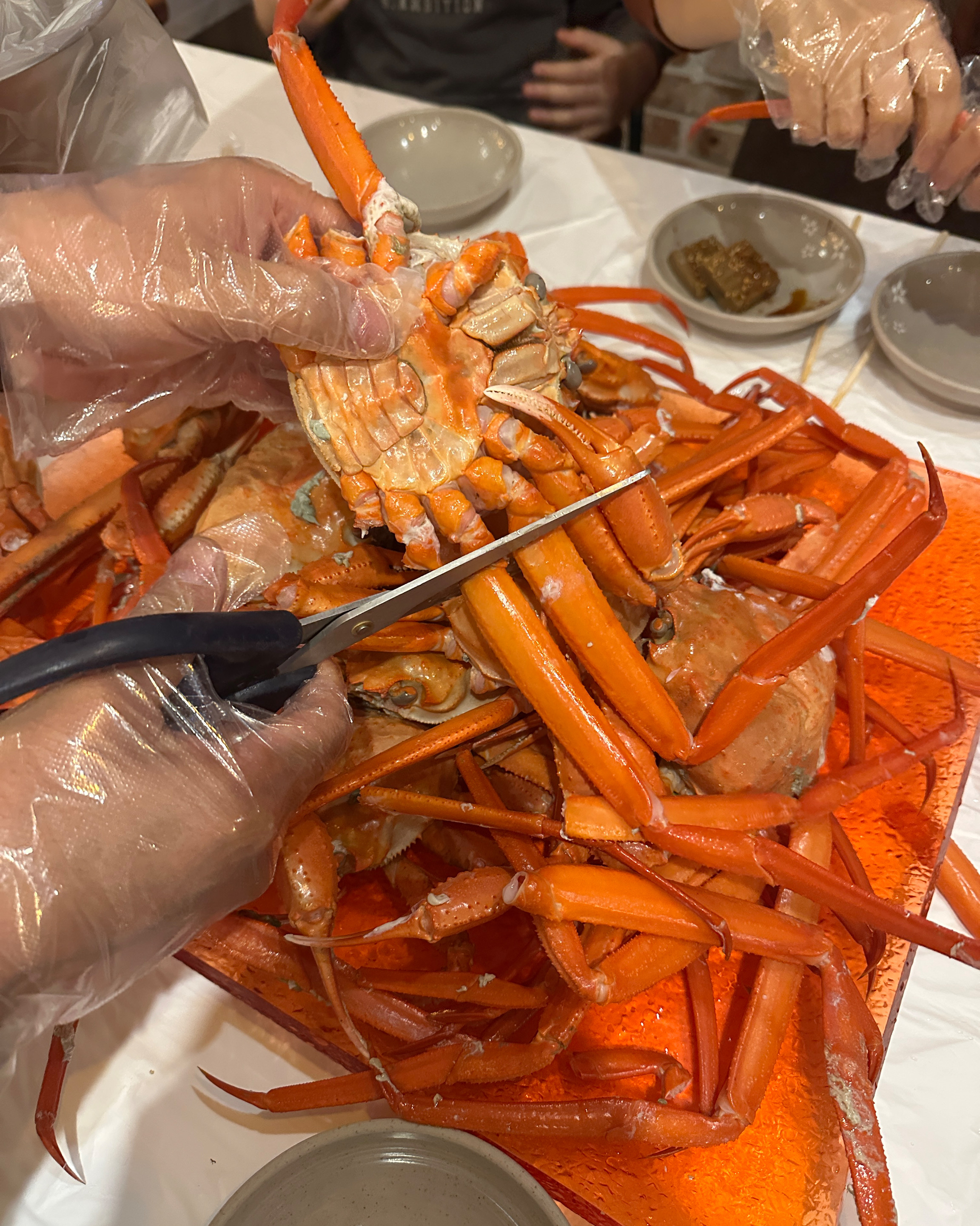 [동해 맛집 옥상홍게무한리필] 직접 가본 로컬 리뷰