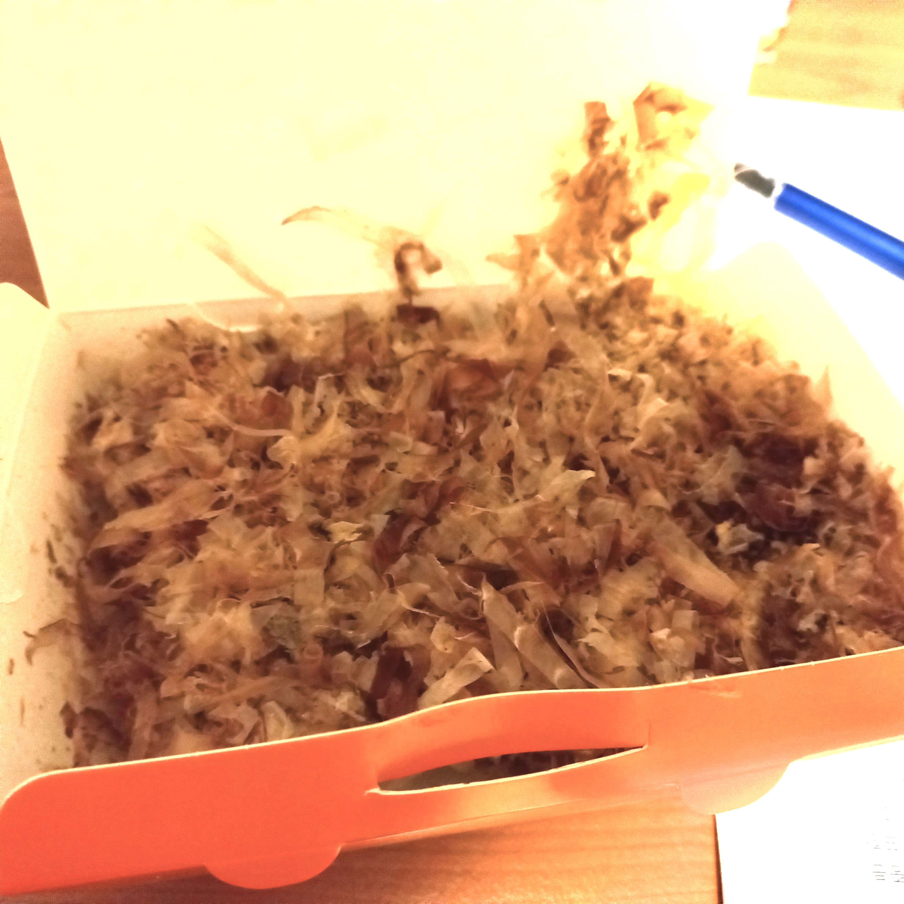 미금역 맛집 타코비 미금점 내돈내산 방문리뷰