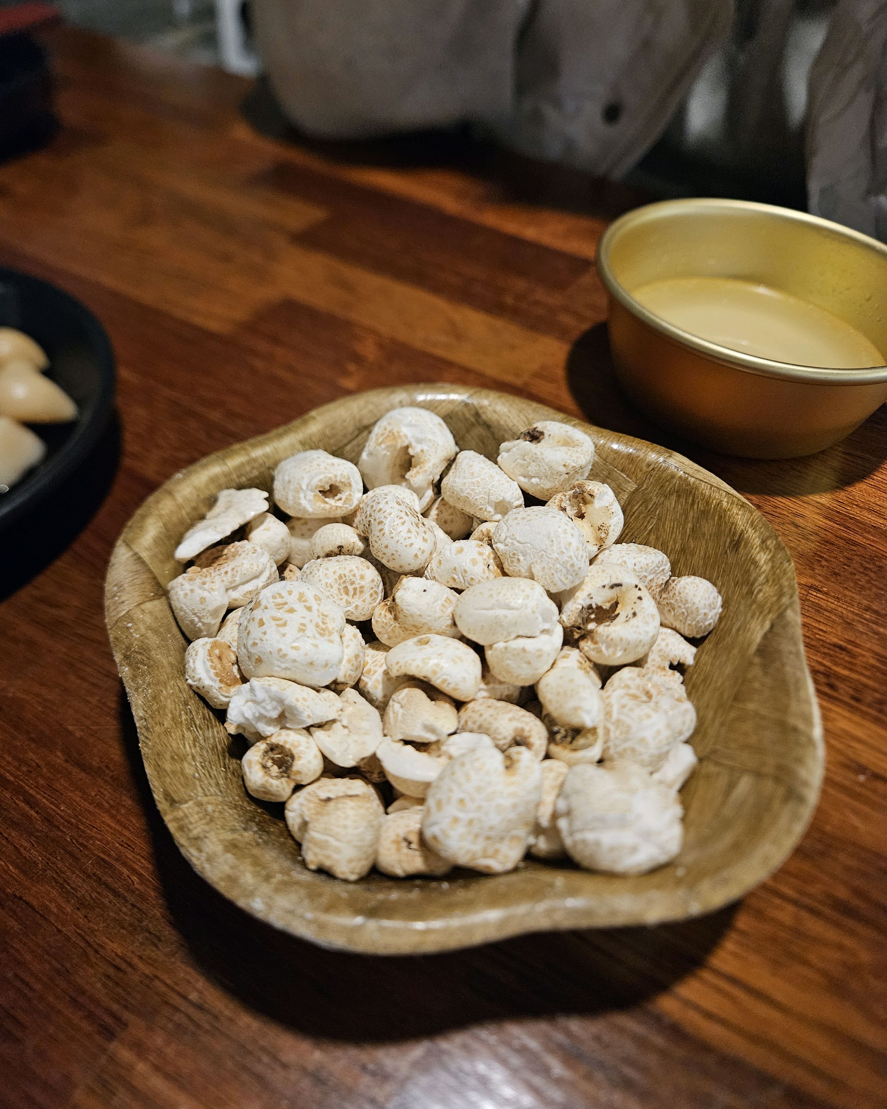 [동해 맛집 송정막걸리공방취향] 직접 가본 로컬 리뷰