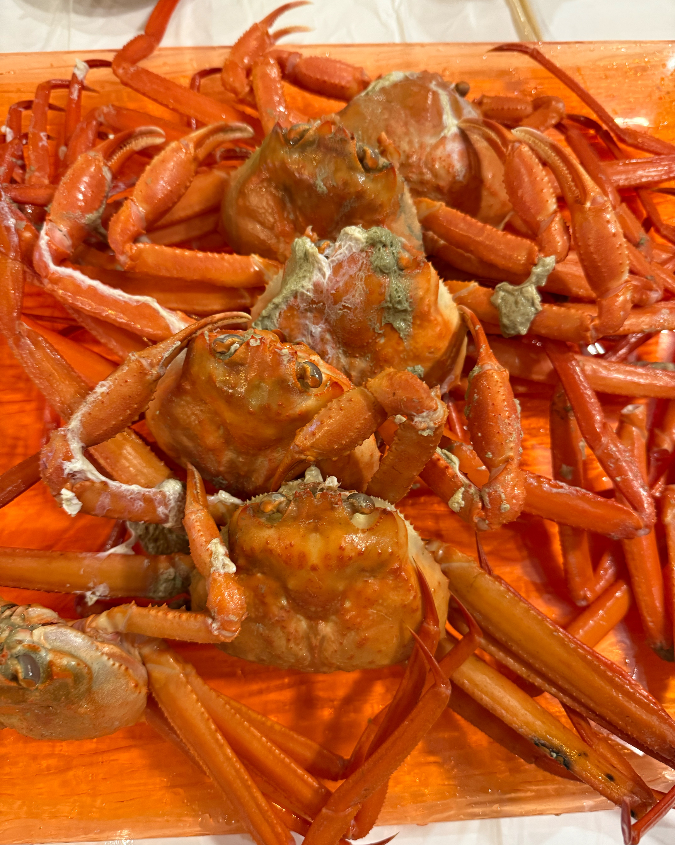 [동해 맛집 옥상홍게무한리필] 직접 가본 로컬 리뷰