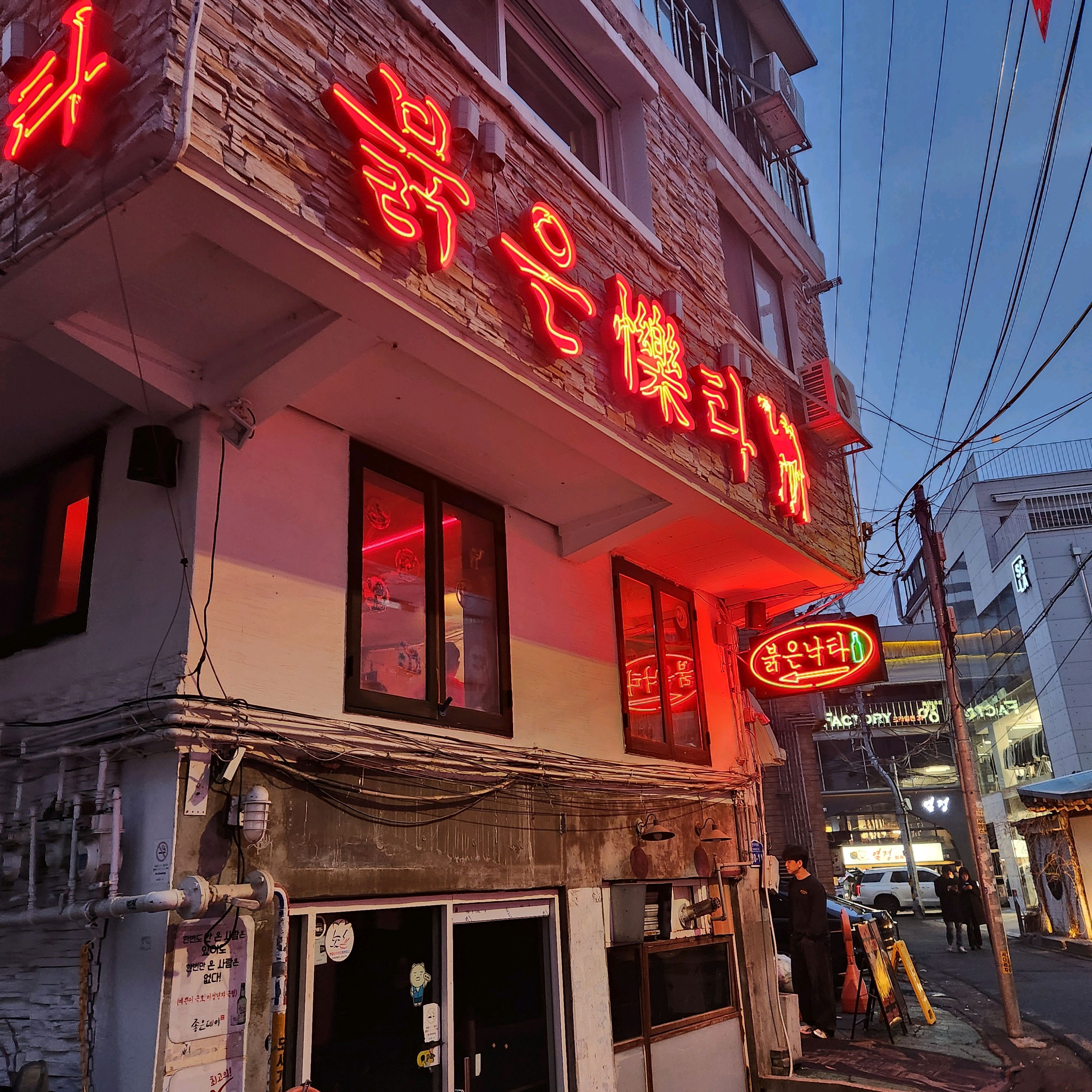 [홍대입구역 맛집 붉은낙타] 직접 가본 로컬 리뷰