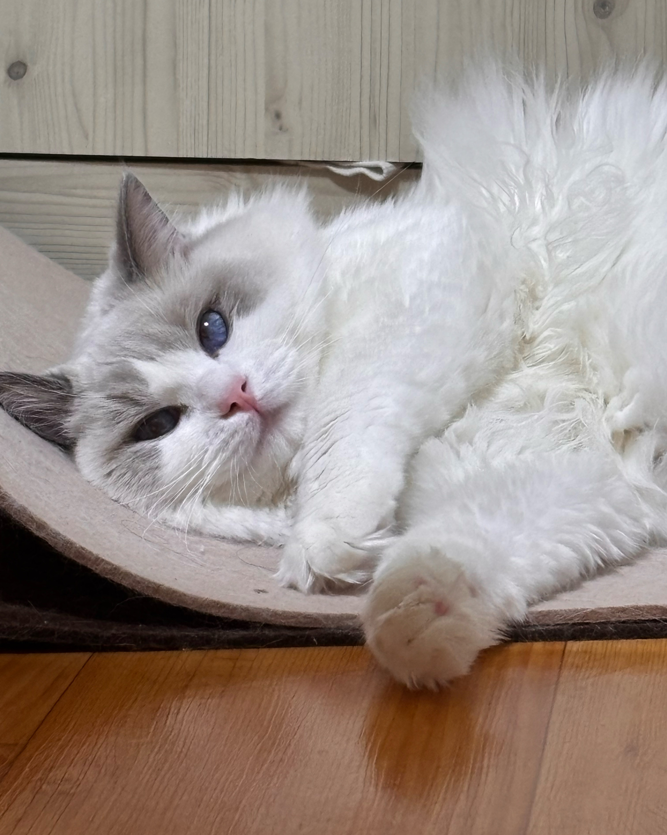 리뷰 사진 1