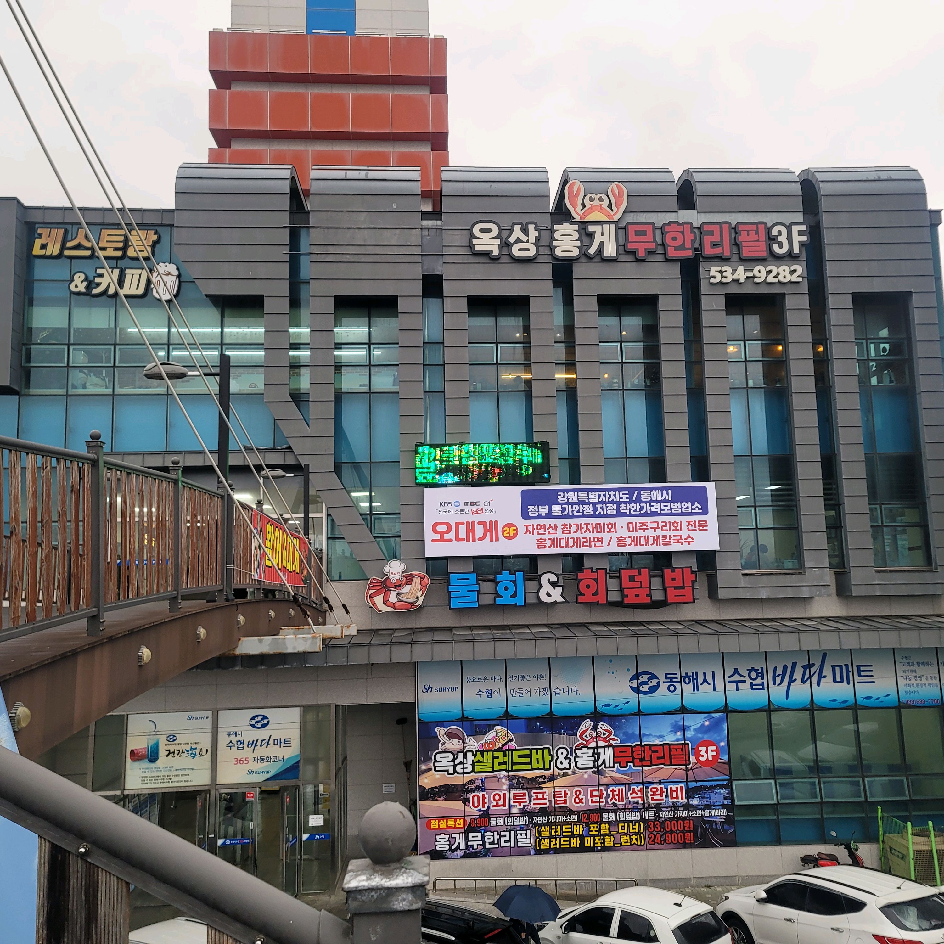 [동해 맛집 옥상홍게무한리필] 직접 가본 로컬 리뷰