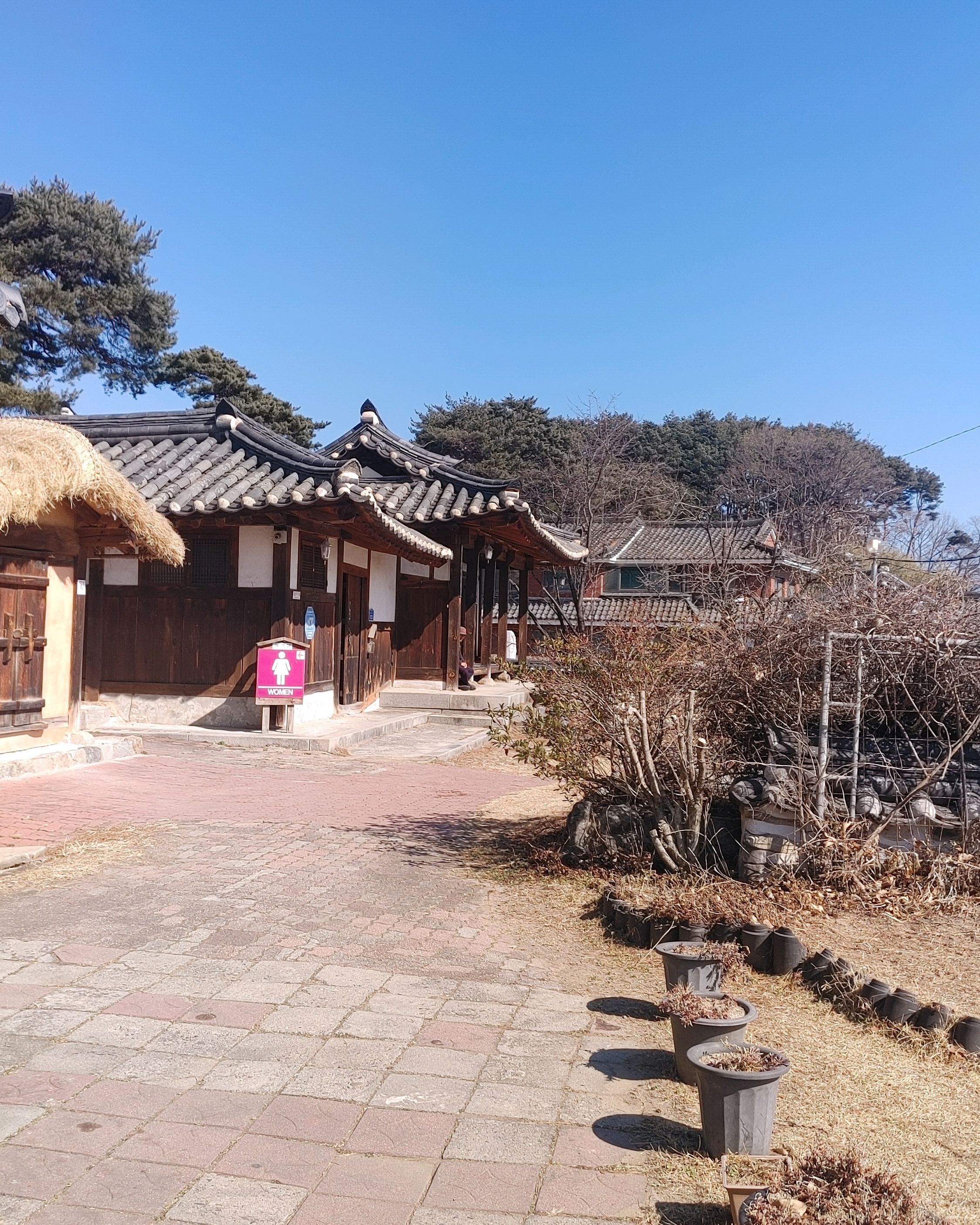 전경이 멋져서 들어간곳 싸인도 많고 맛집인듯~~ 초당순두부와 모두부 부드럽고