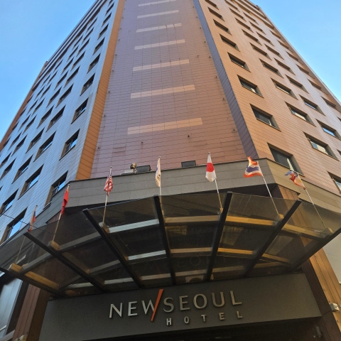뉴서울
