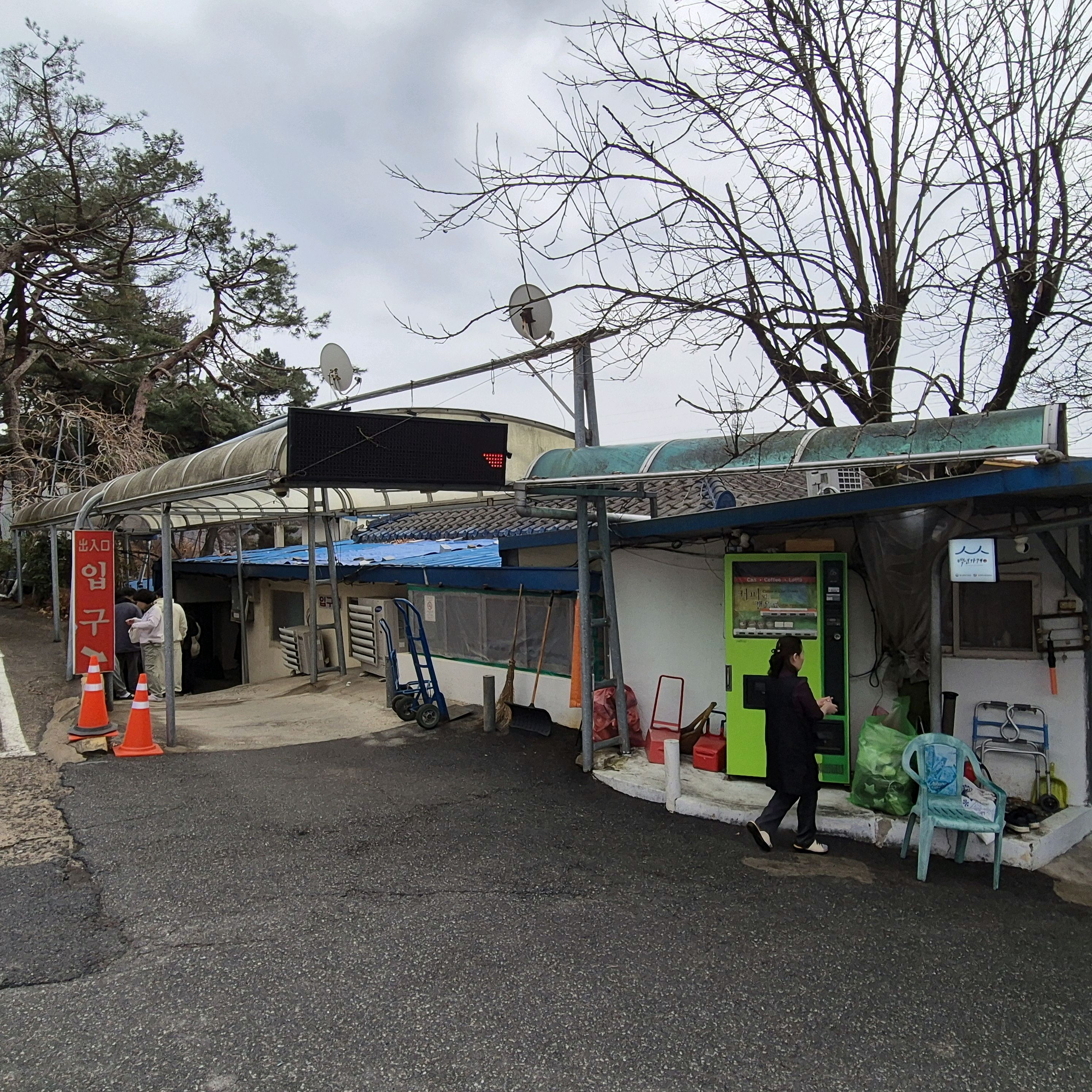 *채묵+묵무침+묵전 - 대전 맛집 솔밭묵집