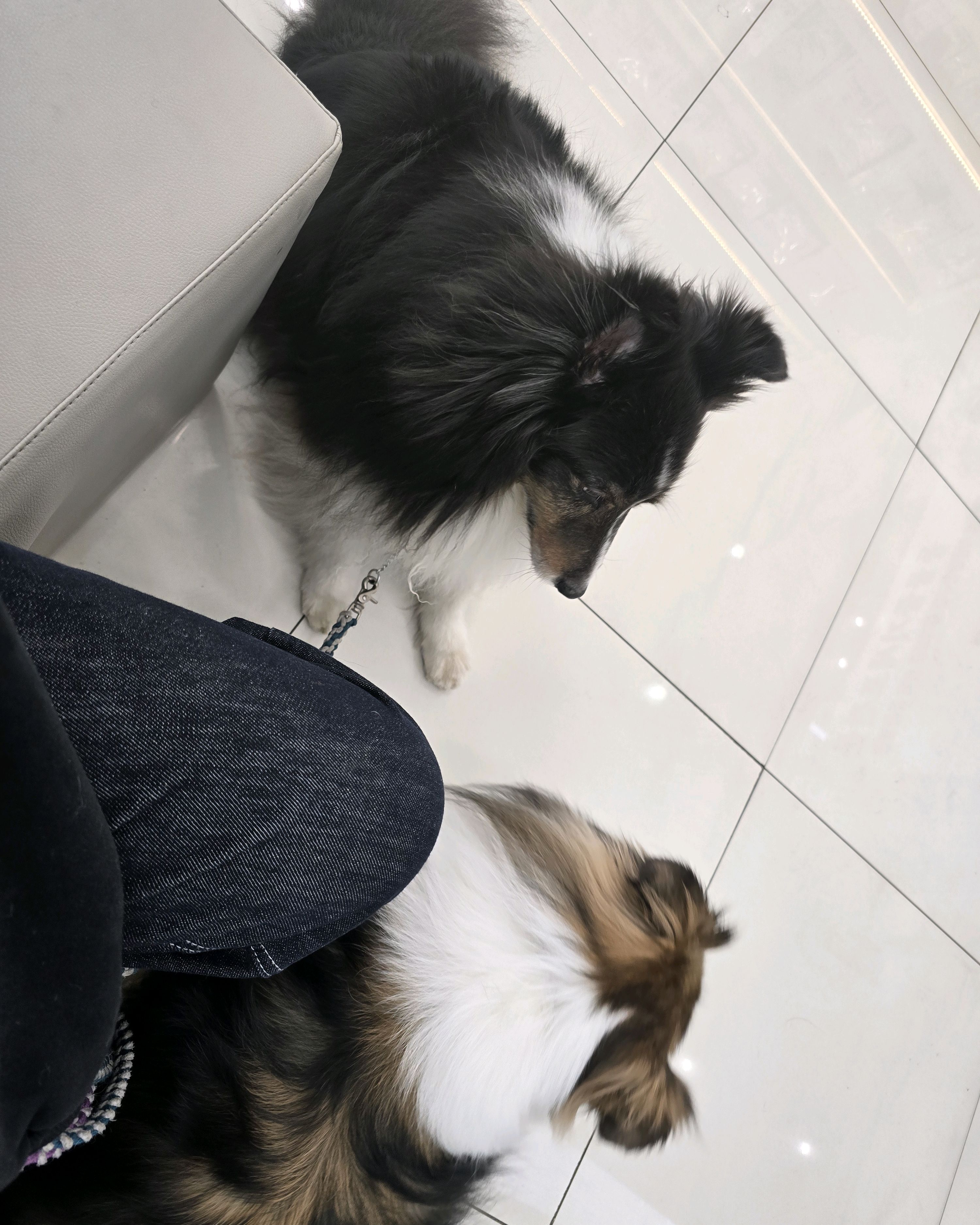 리뷰 사진 1