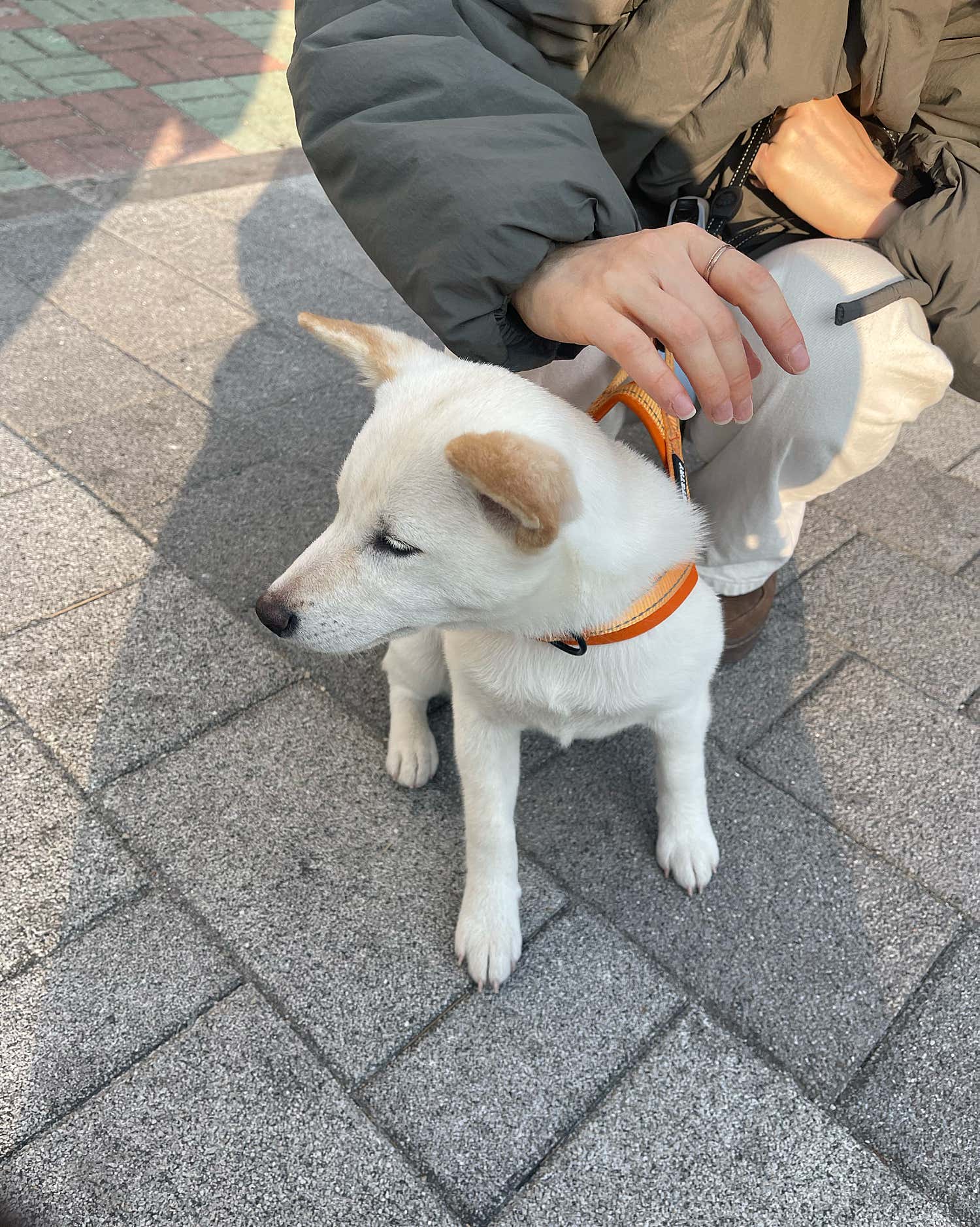 반야월연합의원