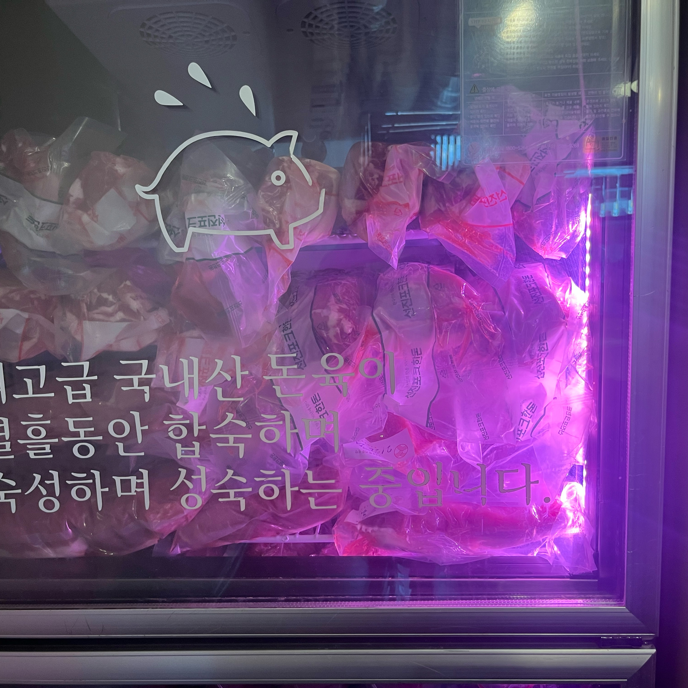 [홍대입구역 맛집 카와카츠 본점] 직접 가본 로컬 리뷰