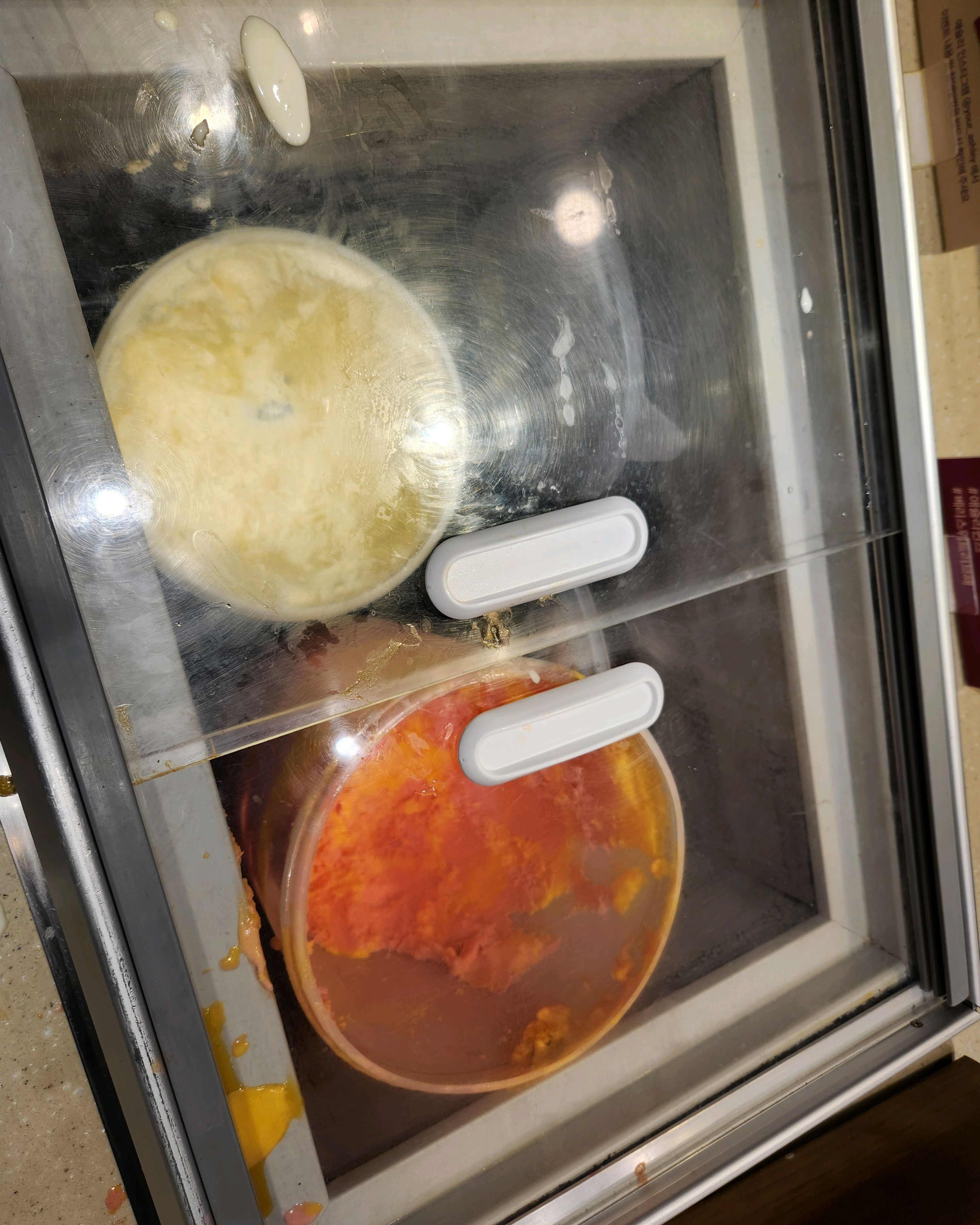 낮 12시에 도착하여 1시간 20분 대기하고 입장. - 불당동 맛집 애슐리퀸즈 갤러리아 천안점