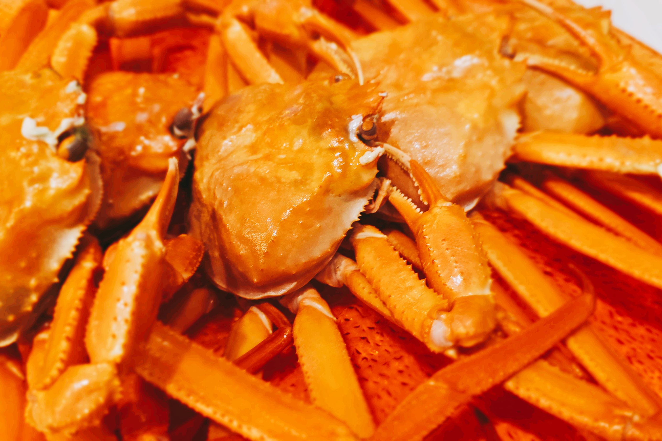 [동해 맛집 옥상홍게무한리필] 직접 가본 로컬 리뷰