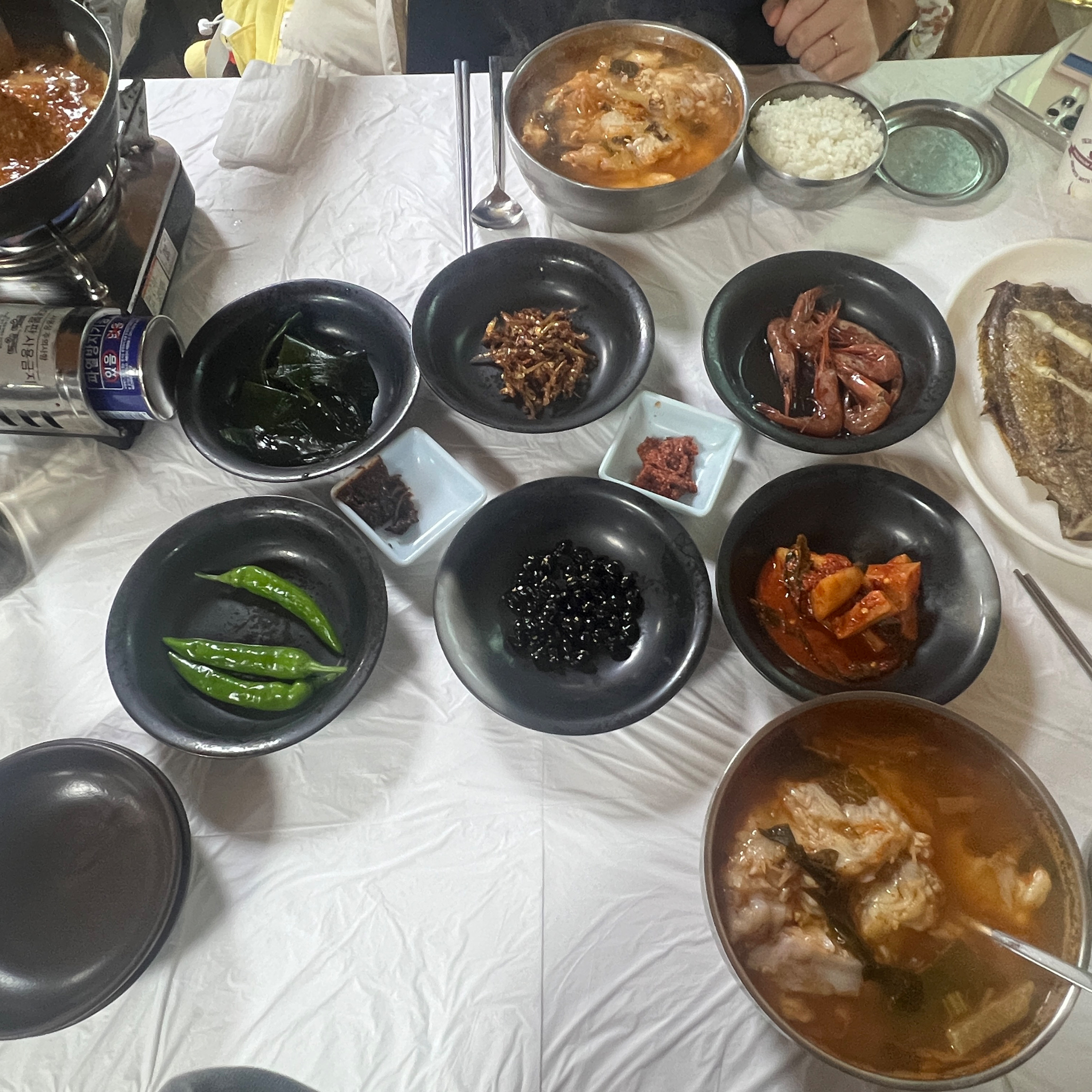 [동해 맛집 거북이횟집곰치국] 직접 가본 로컬 리뷰